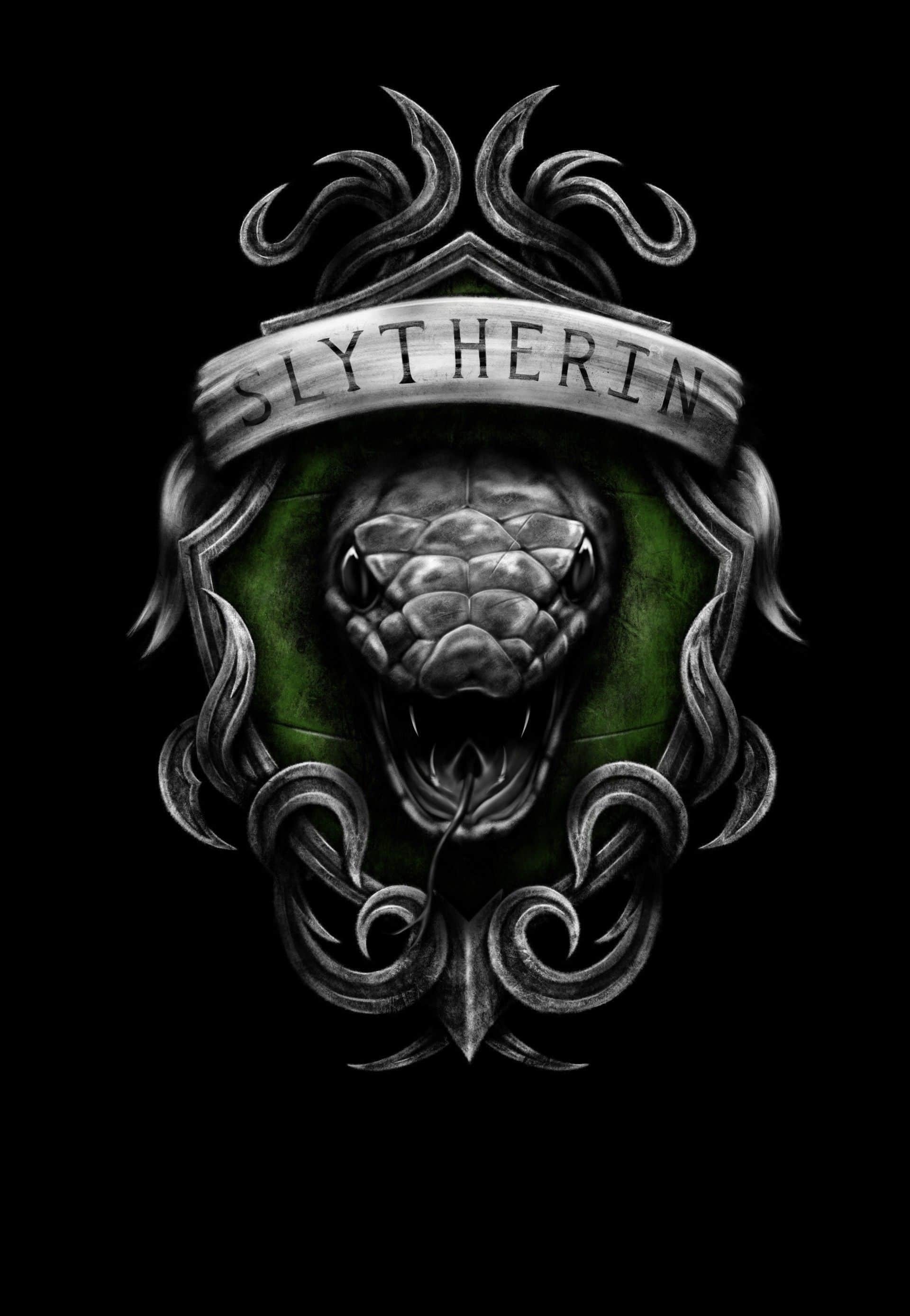 Artwork, Slytherin Wallpaper, 1920x2780 HD Phone