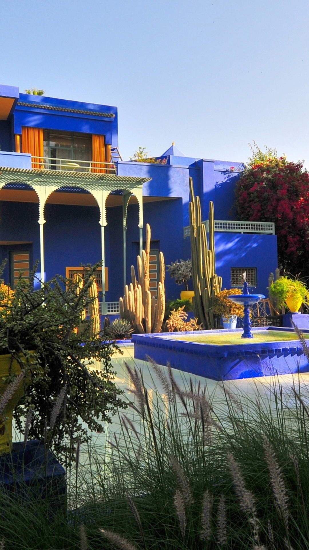 Majorelle jardin, Marrakesh beauty, Nature's tranquility, Full HD bliss, 1080x1920 Full HD Phone