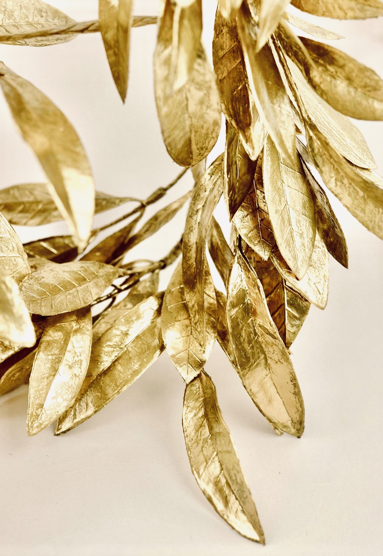 Gold, Bay Leaves Wallpaper, 1570x2280 HD Phone