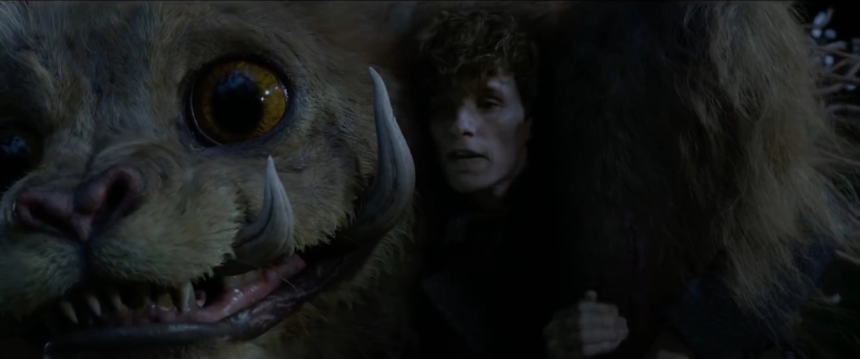 Fantastic Beasts, Newt's new menagerie, Magical creatures, 3360x1410 Dual Screen Desktop