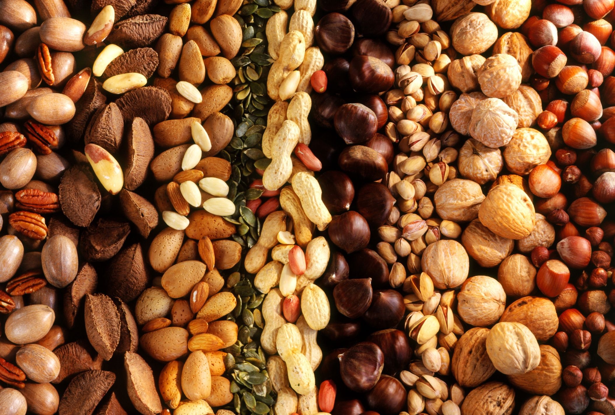 Types of nuts, Nutritional powerhouses, Crunchy and satisfying, Diverse flavors, 2110x1430 HD Desktop