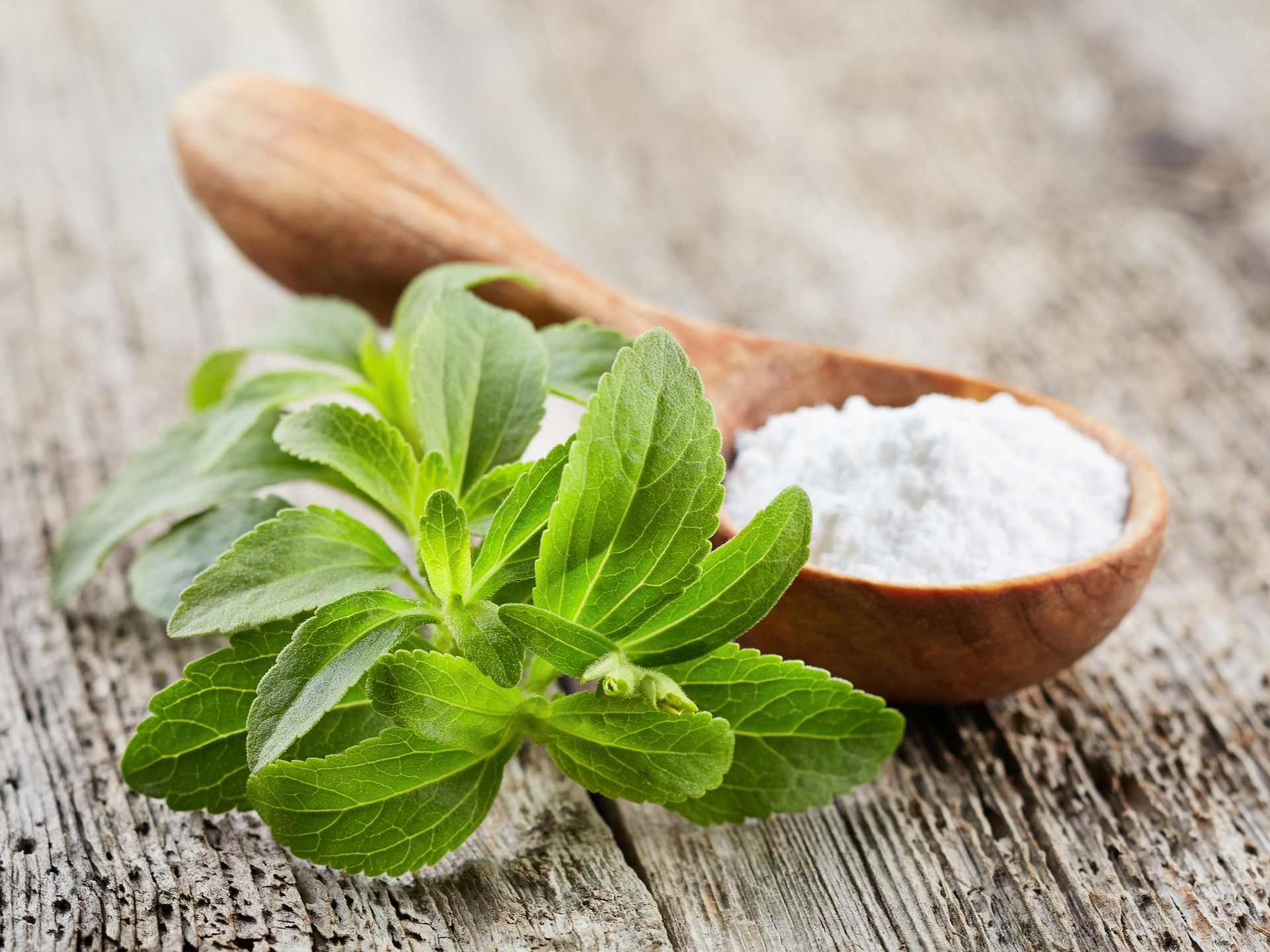 Stevia, Patenting, Carpmaels u0026 ransford, Law firm, 1920x1440 HD Desktop
