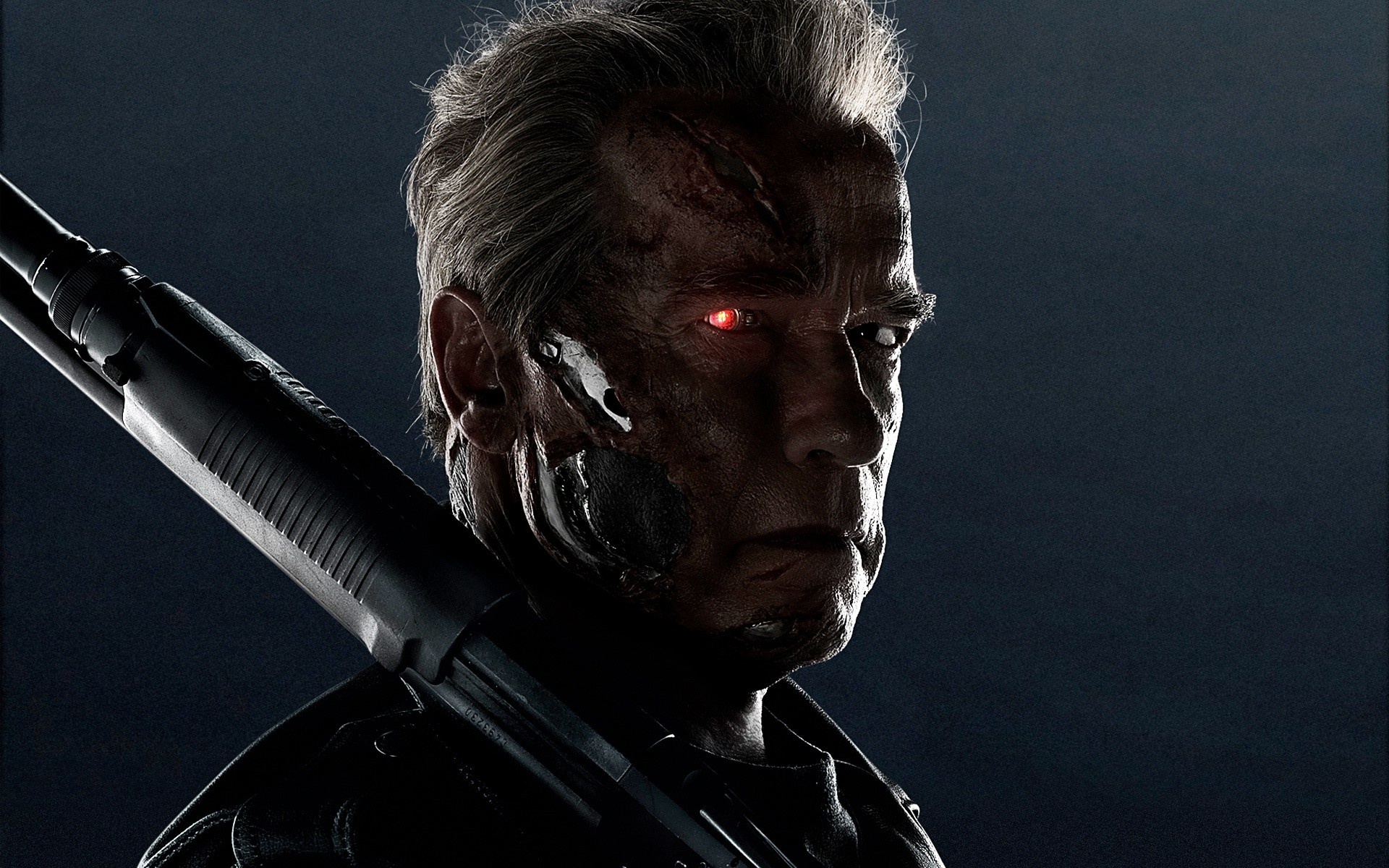 Arnold T-800 Terminator, Wide chaos wallpapers, Terminator Genisys, 1920x1200 HD Desktop