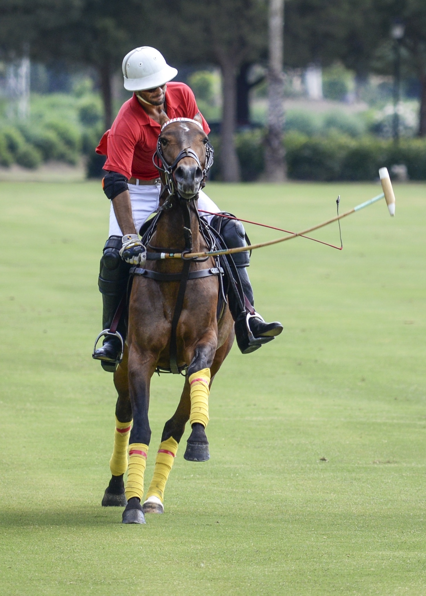 Team sport equestrian, Polo club event, Stick and ball games, Competitive equestrian sport, 1460x2040 HD Phone