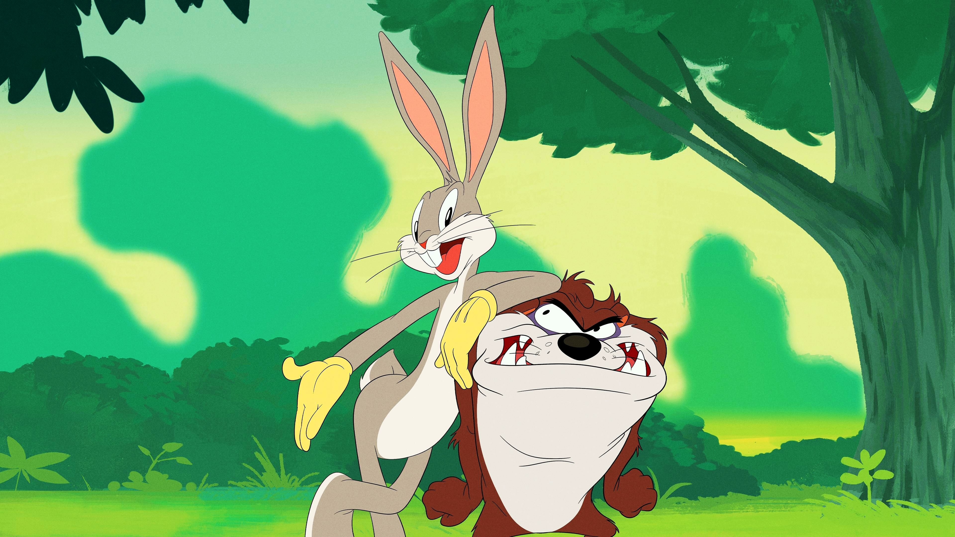 Looney Tunes cartoons, Aflami Best, Animated series, Classic characters, 3840x2160 4K Desktop