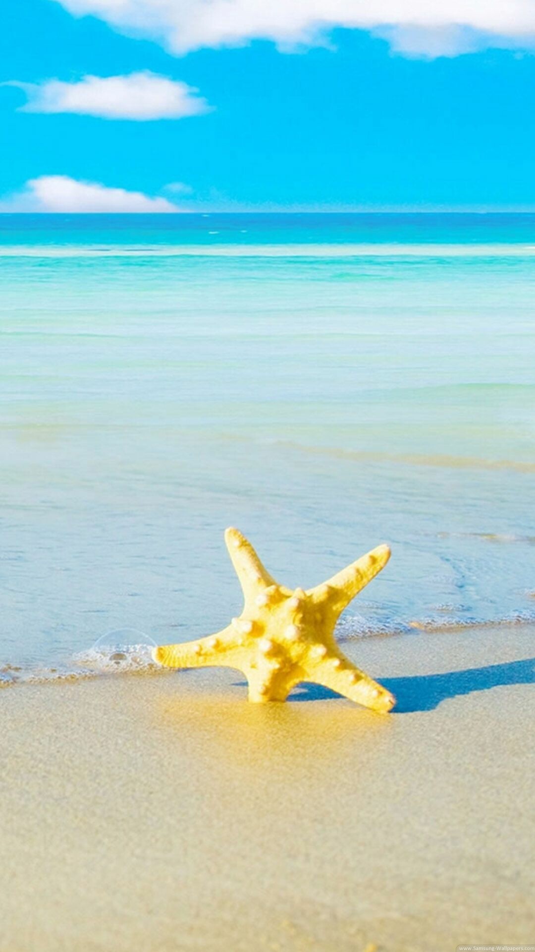 Starfish, Animals, Beach, iPhone, 1080x1920 Full HD Phone