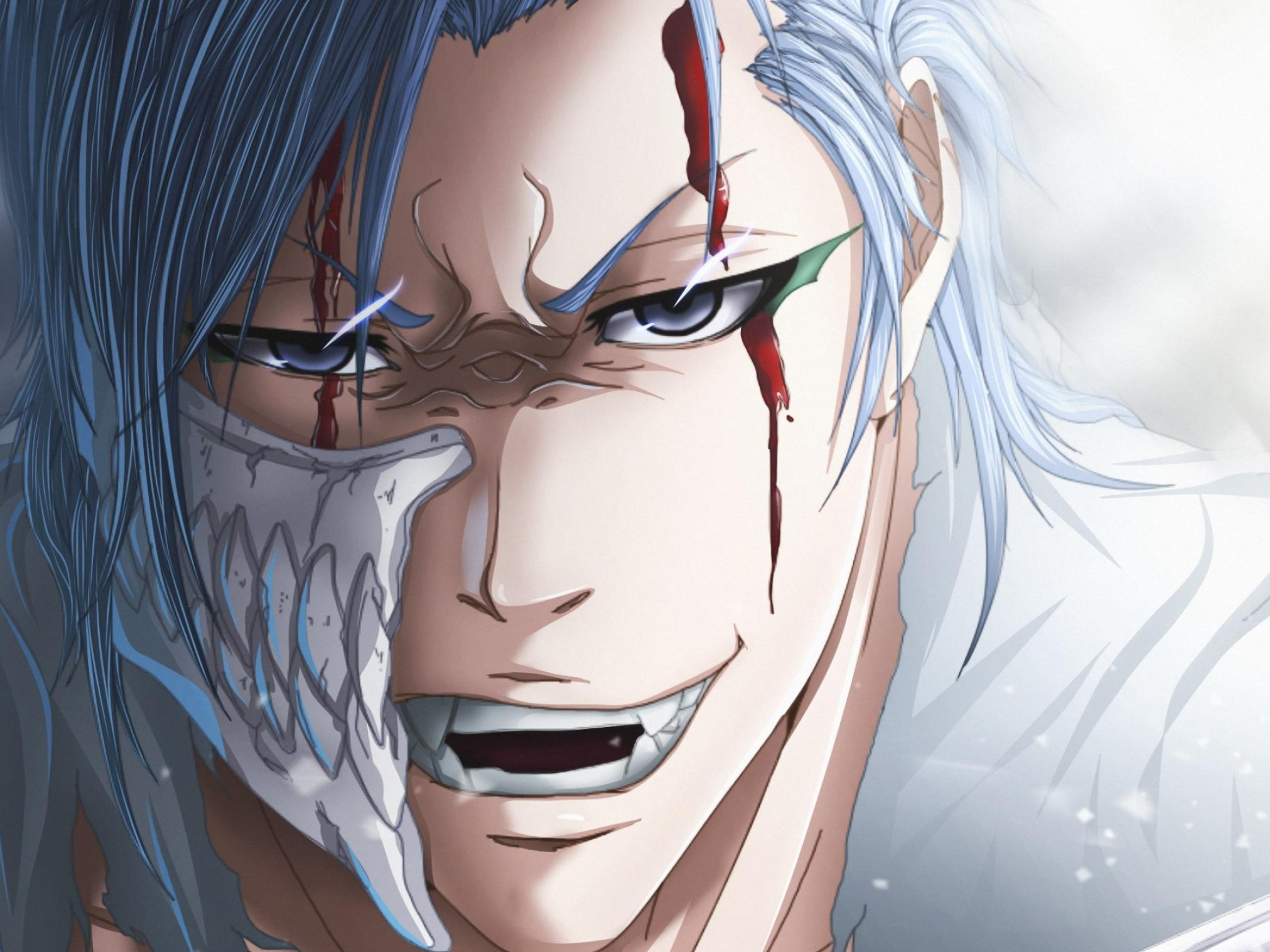 Grimmjow Jaggerjack, Popular wallpapers, Vibrant backgrounds, Anime protagonist, 2050x1540 HD Desktop