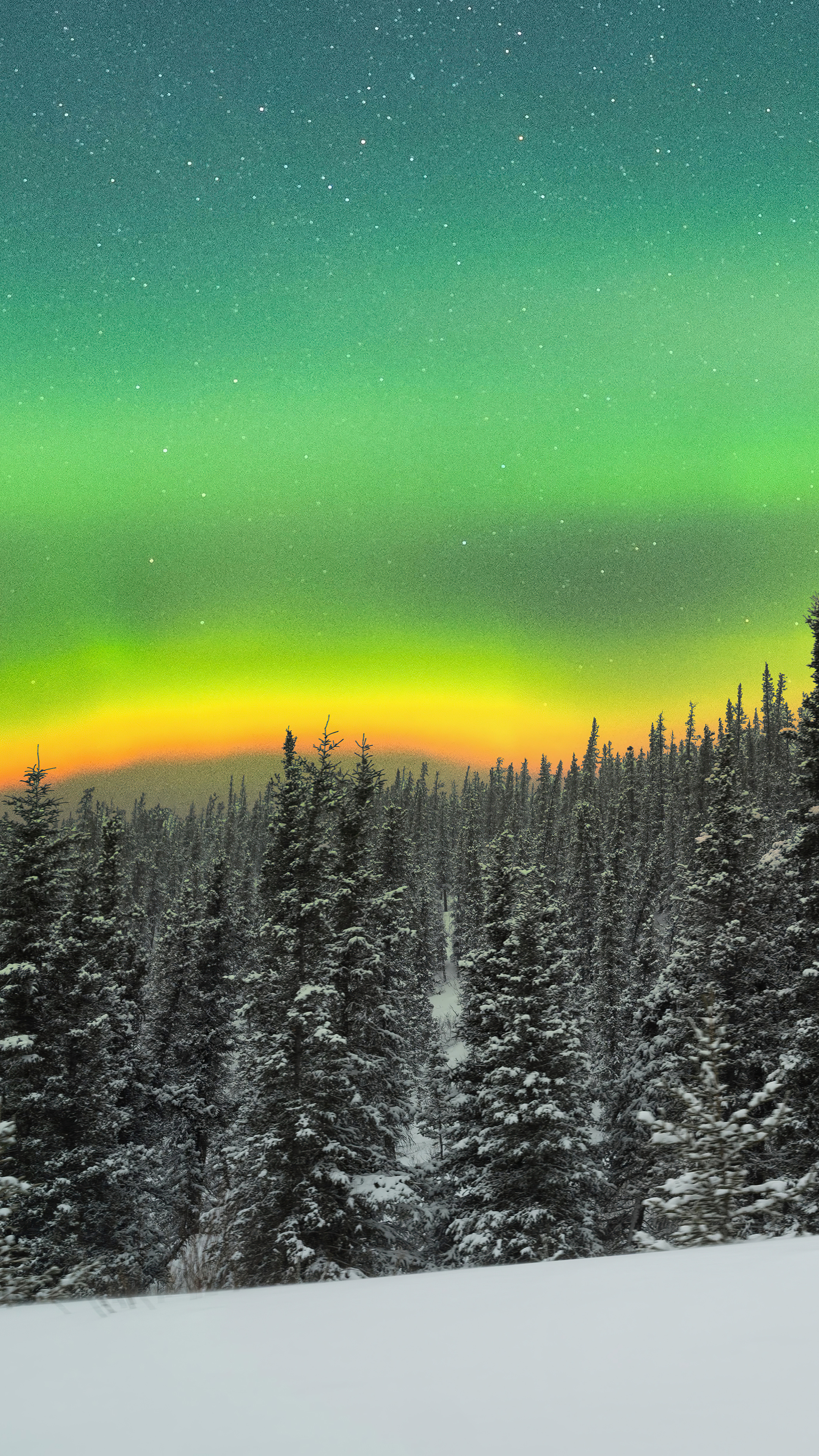 Orange aurora, Snowy forest, Sony Xperia X, 4K wallpapers, 2160x3840 4K Phone