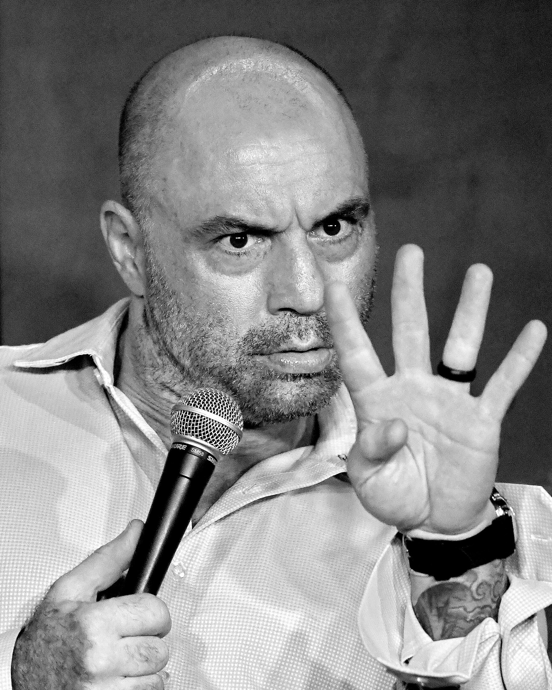 Joe Rogan, Spotify deal, Cultural impact, Media landscape, 1800x2250 HD Phone