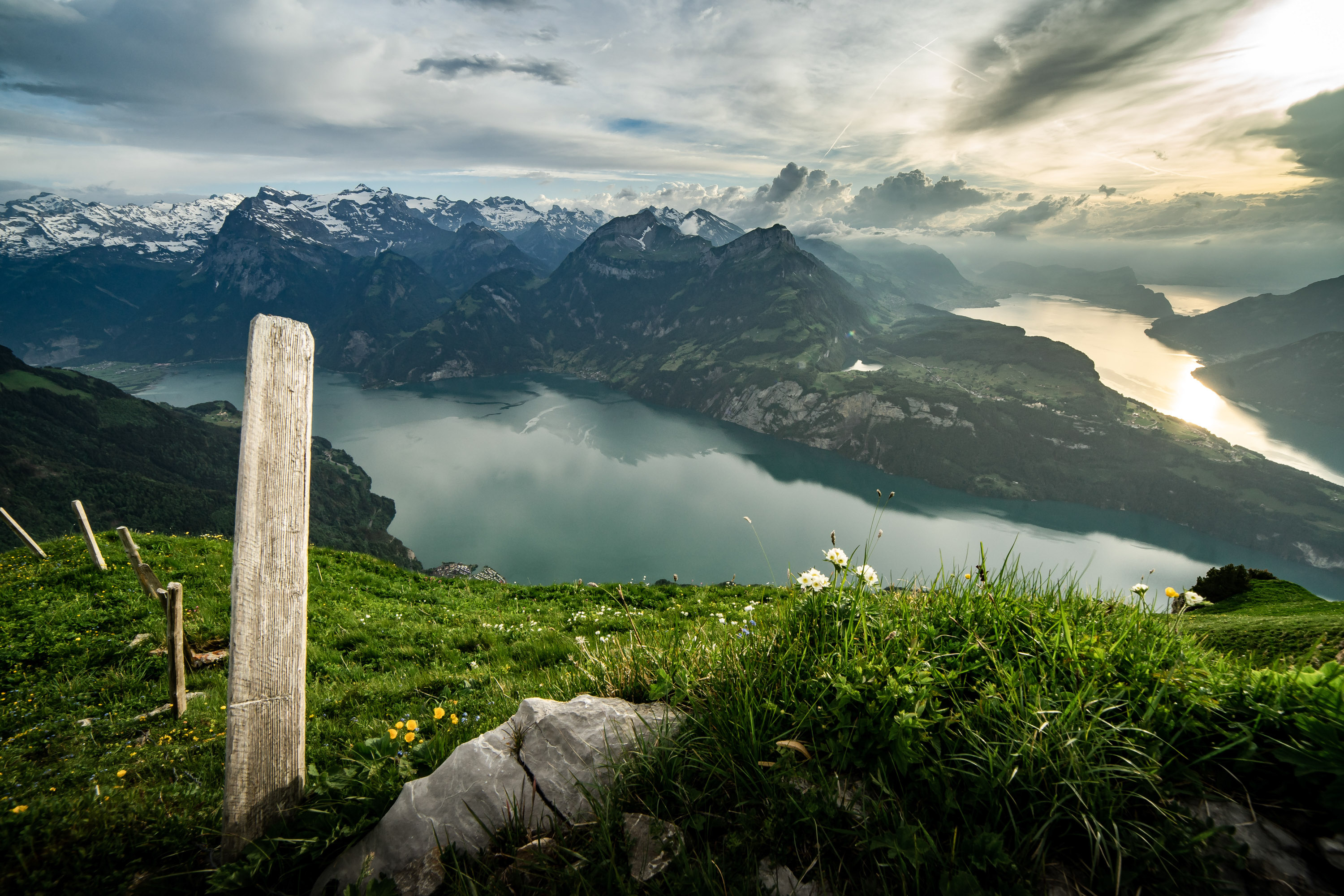 Lake Lucerne panorama, Swiss Alps peaks, Alpine meadow with wildflowers, HD Desktop wallpaper