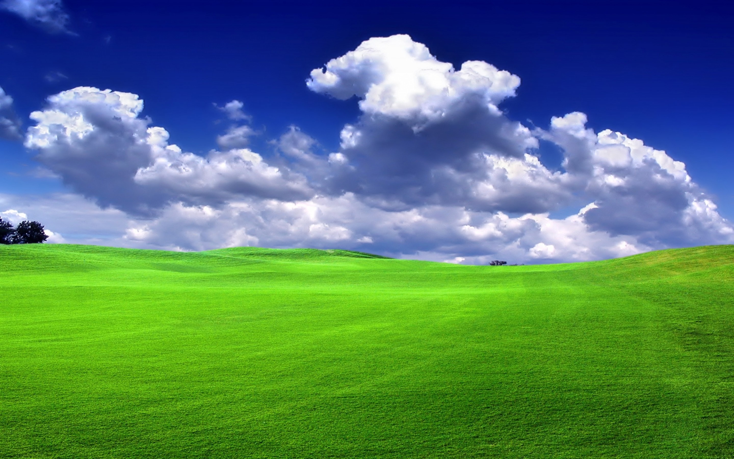 Blue sky green grass, Nature's harmony, Serene wallpaper, Tranquil ambiance, 2880x1800 HD Desktop