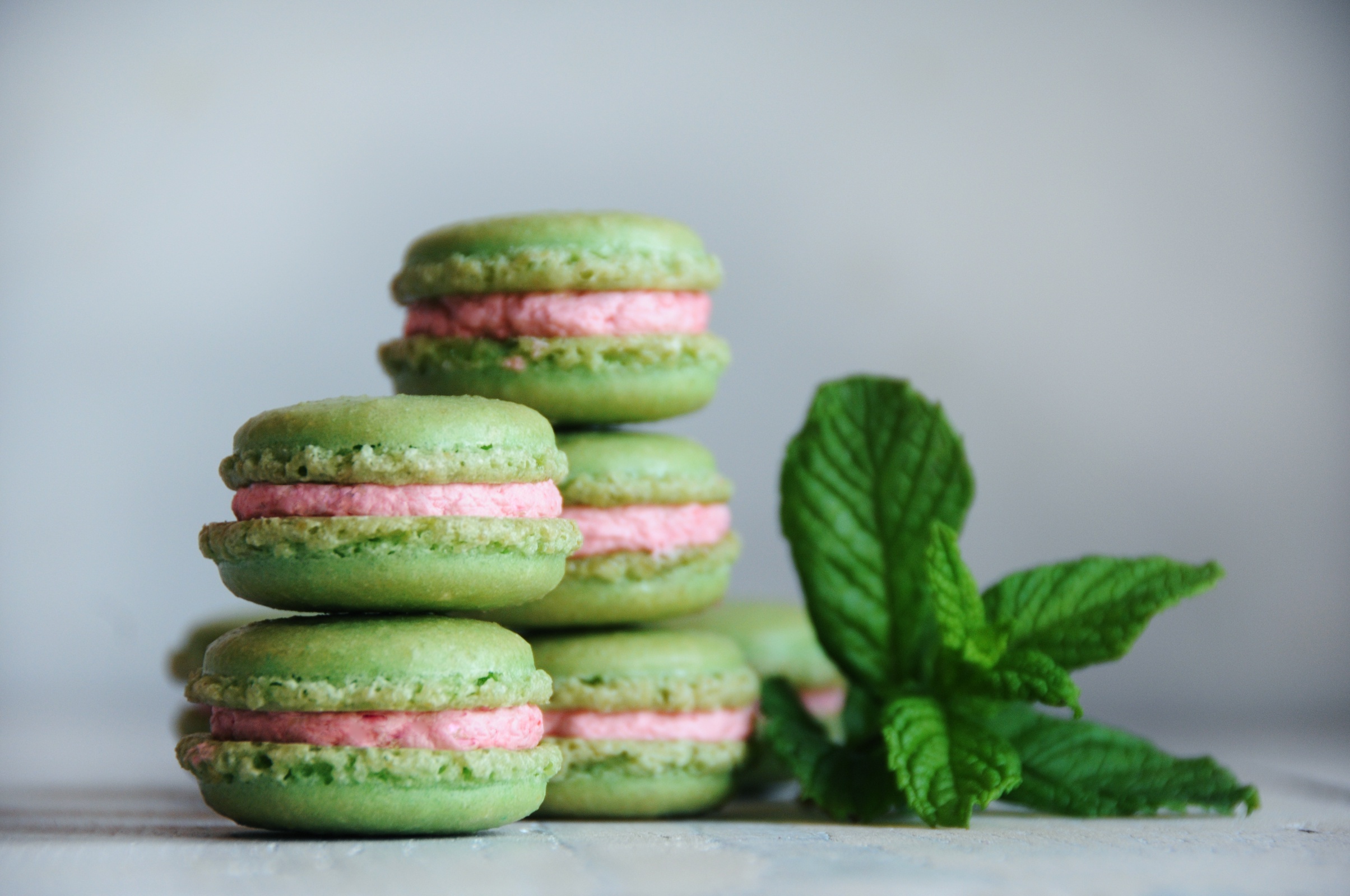 Macaroons, Spearmint Wallpaper, 2410x1600 HD Desktop