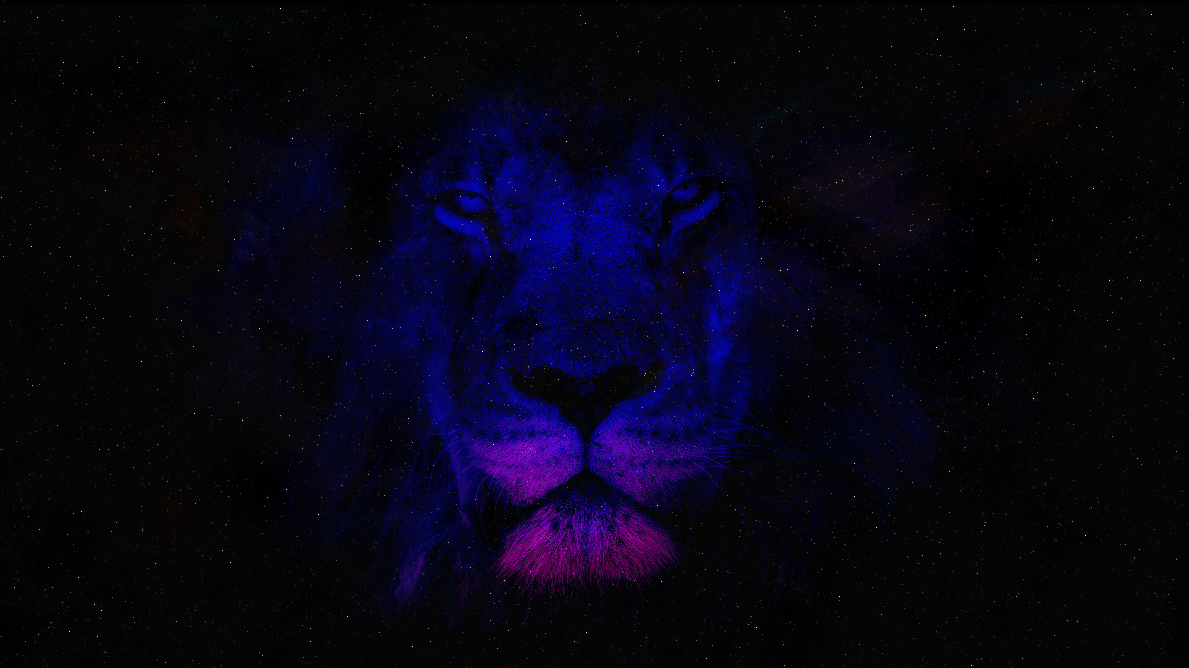 Lion in 4K, High-resolution visuals, Captivating imagery, Magnificent beast, 3840x2160 4K Desktop