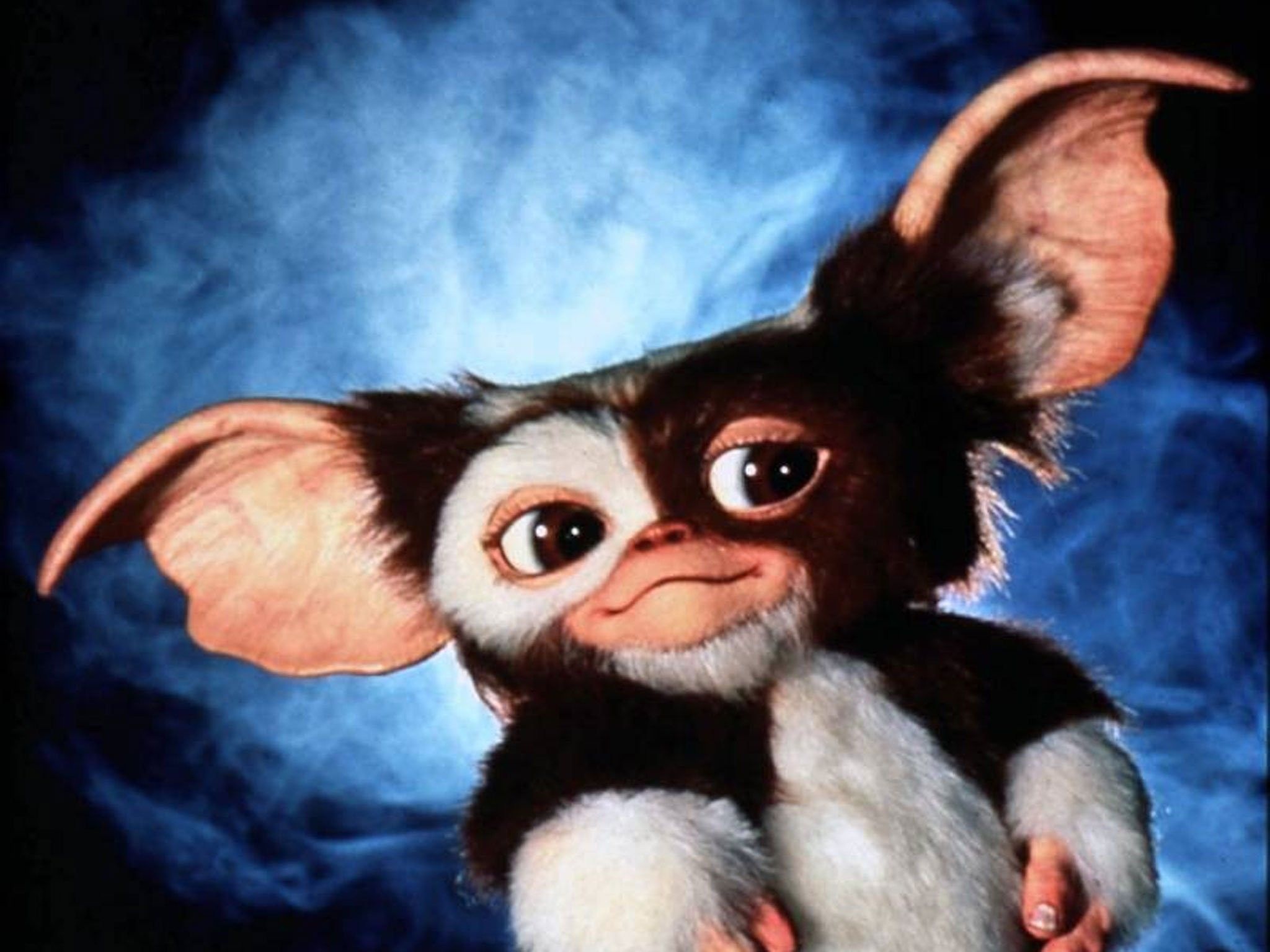 Adorable Gizmo, Playful expressions, Lovable character, Cute appeal, 2050x1540 HD Desktop