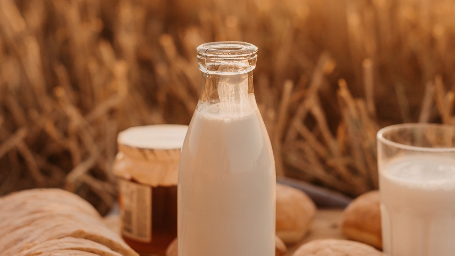 High-definition milk wallpaper, Dairy product, Milky white, Refreshing drink, 1920x1080 Full HD Desktop