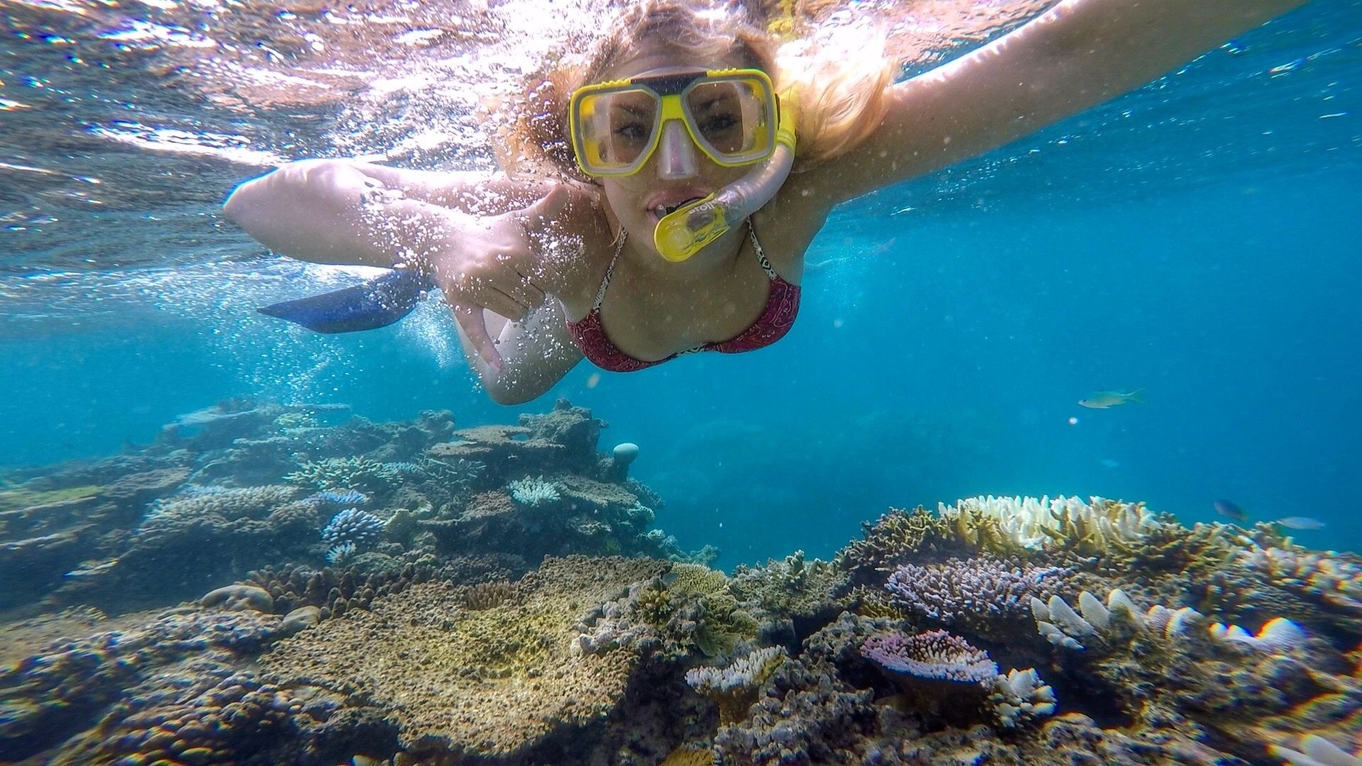 Snorkeling, Great Barrier Reef, Annie Everywhere, 1920x1080 Full HD Desktop