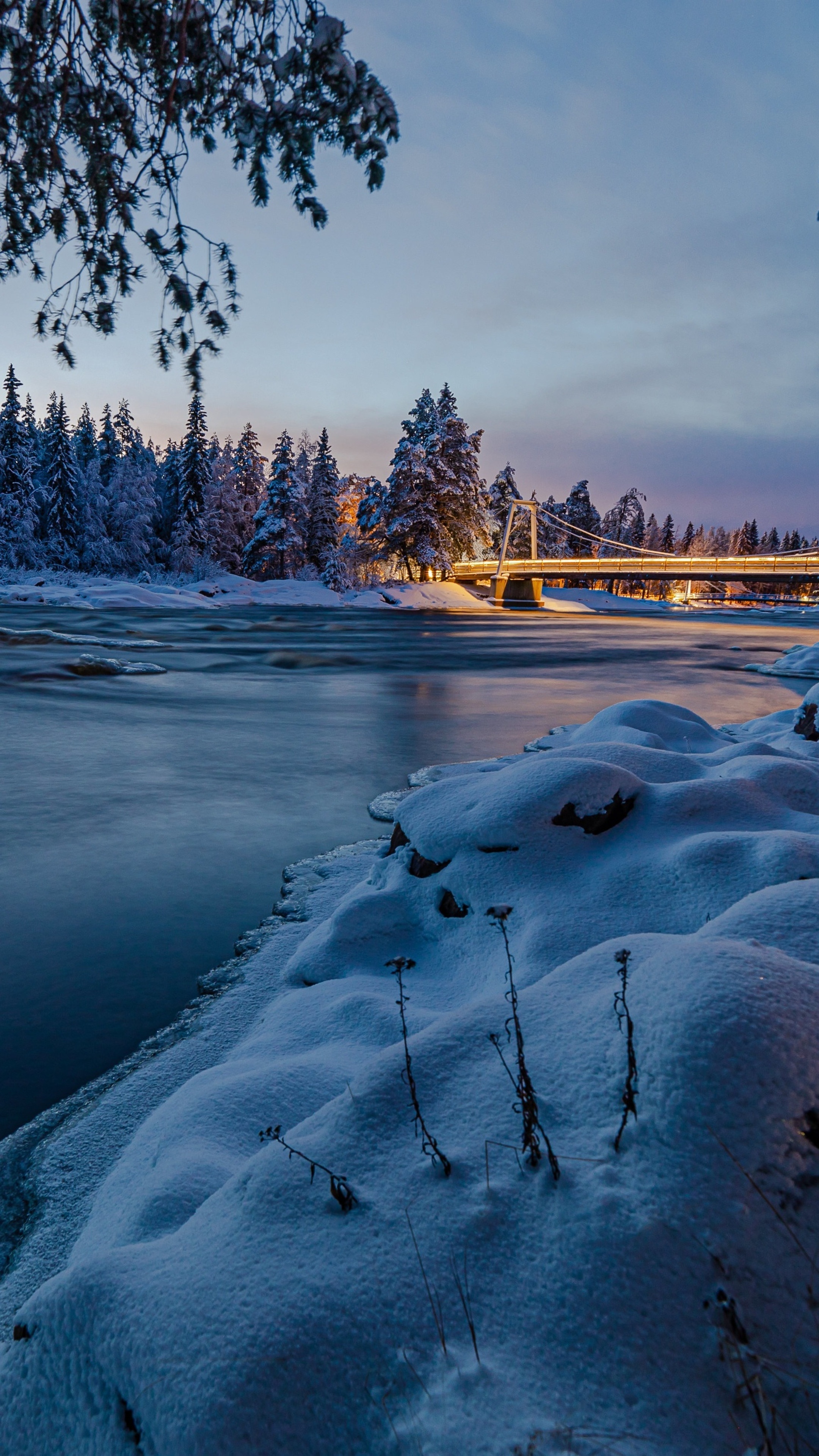 Finland travels, Riverside beauty, Forest scenery, Sony Xperia wallpaper, 2160x3840 4K Phone