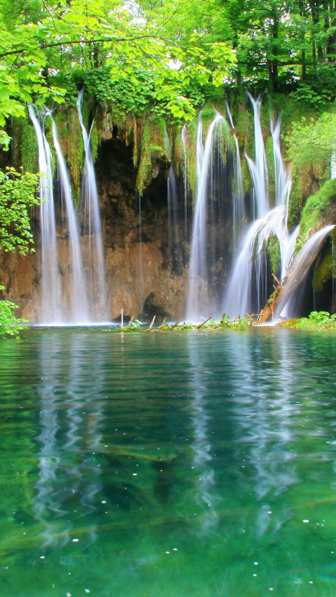Jungle wallpaper, Nature's canvas, Stunning landscapes, Tropical paradise, 1080x1920 Full HD Phone
