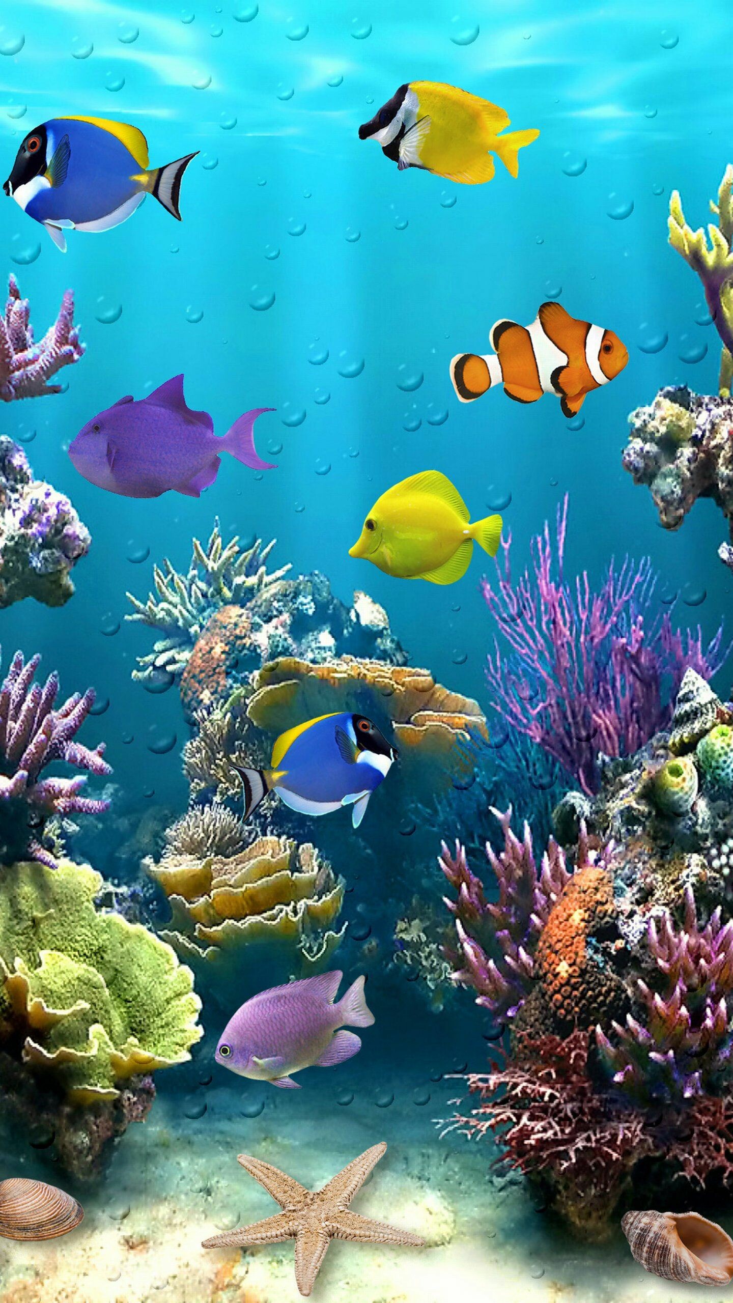 Underwater fish, Top free backgrounds, Nature, Fish wallpapers, 1440x2560 HD Phone