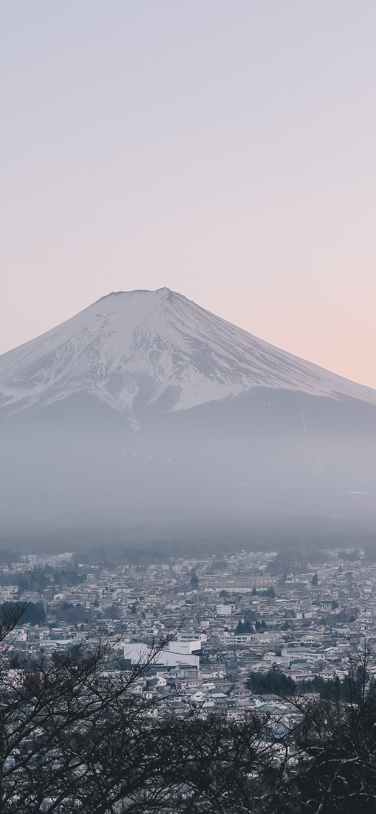 Japan Travels, Mount Fuji city landscape, 1250x2690 HD Phone