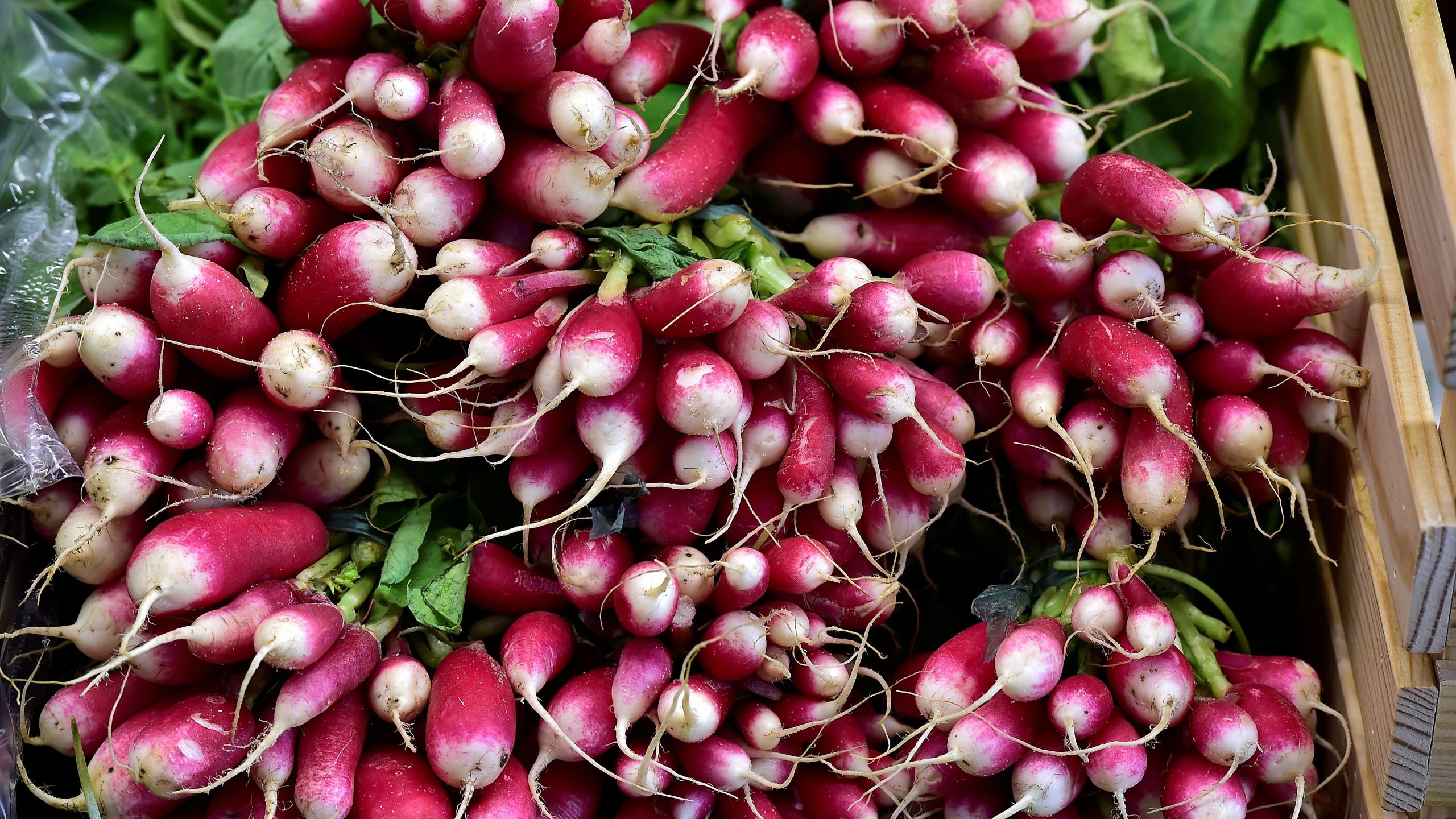 Radish wallpapers, Food, 2560x1440 HD Desktop