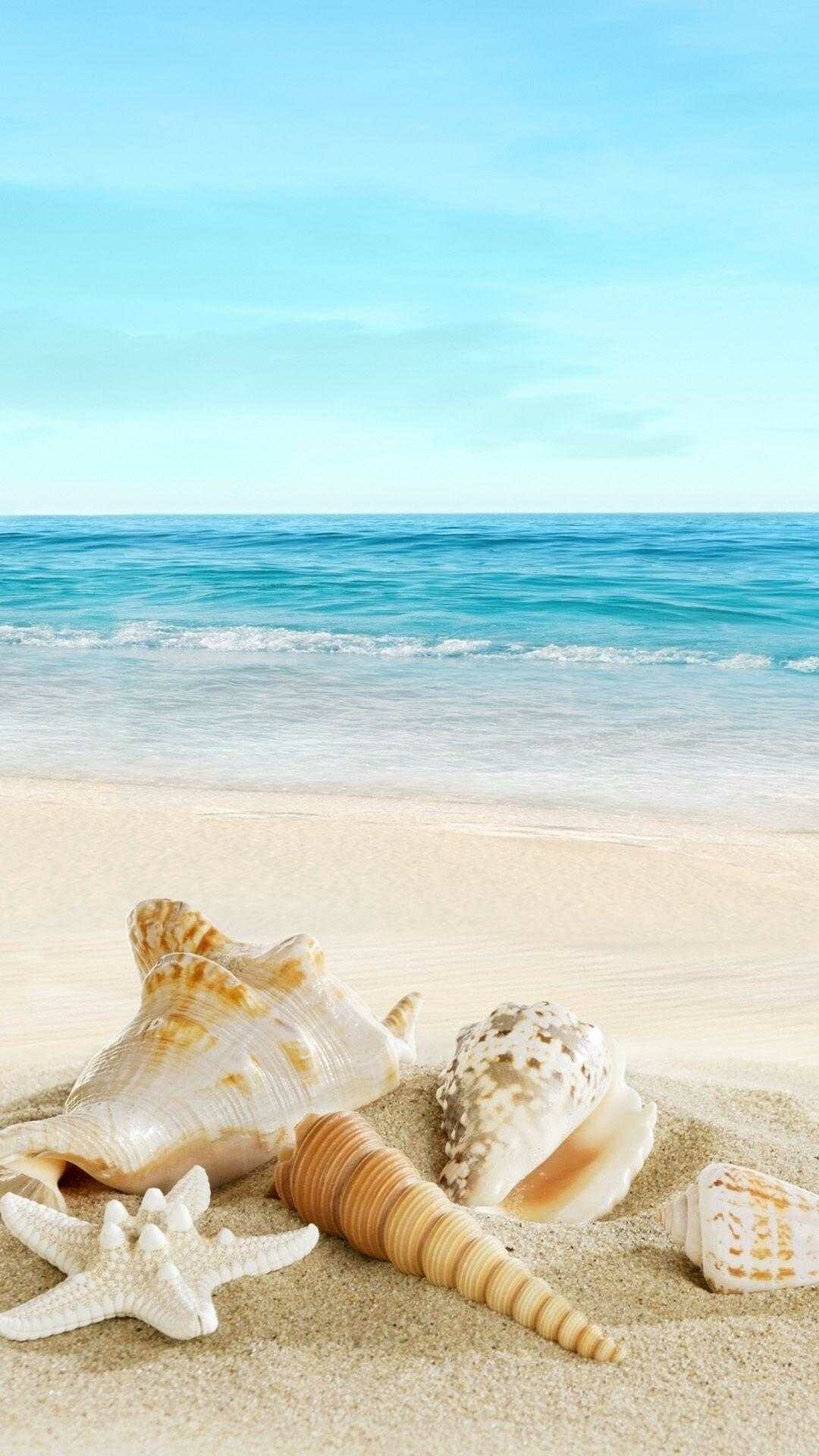 Starfish, Animals, Beach, Awesome, 1080x1920 Full HD Phone