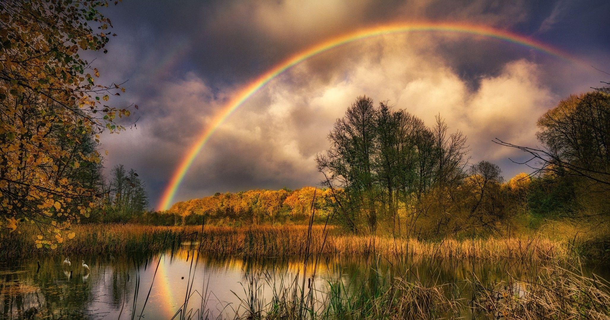 Vivid autumn rainbow, Marshland water reflection, Golden autumn foliage, HD Desktop wallpaper