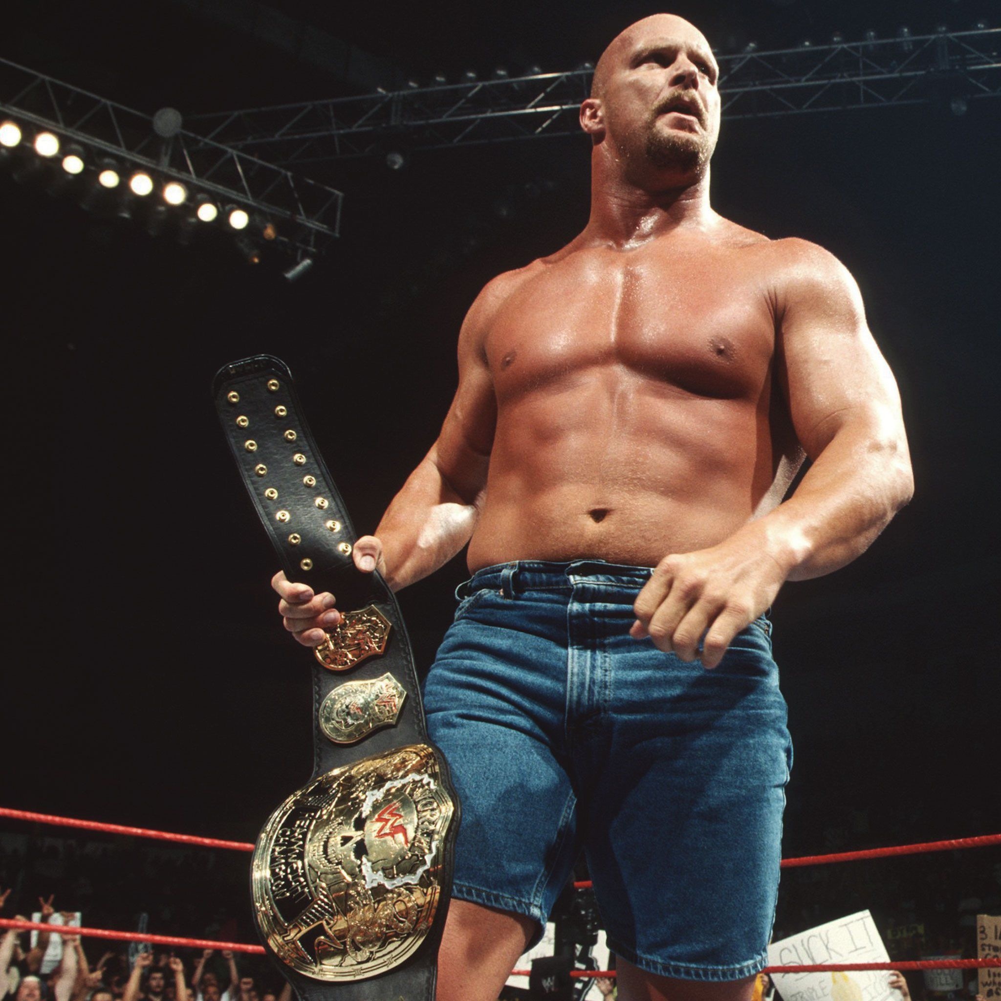 Stone Cold, Steve Austin, Rattlesnake ideas, 2050x2050 HD Phone