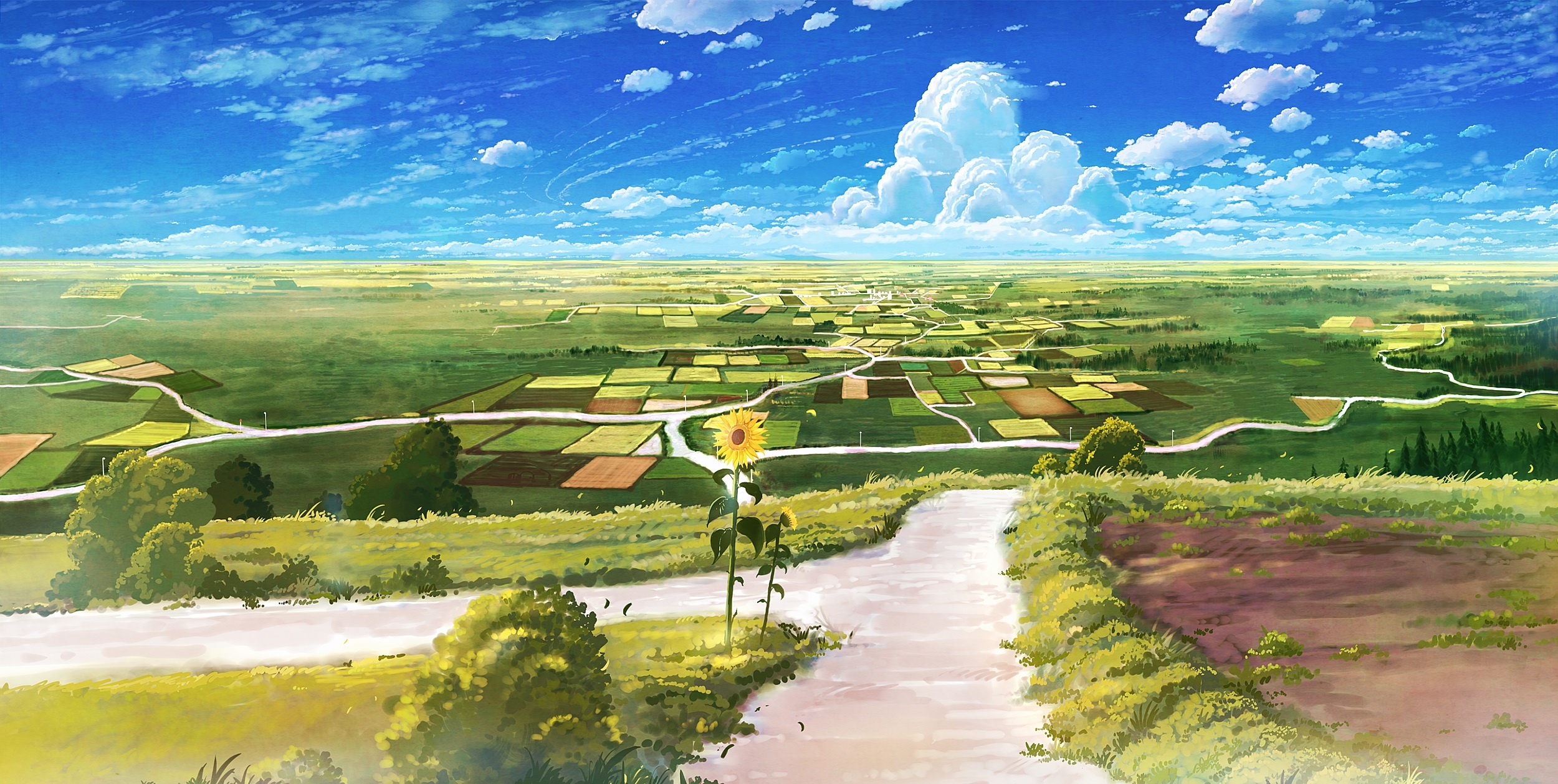 solitary blooming sunflower, patchwork rural farmland fields, towering summer cumulus clouds, HD Desktop wallpaper