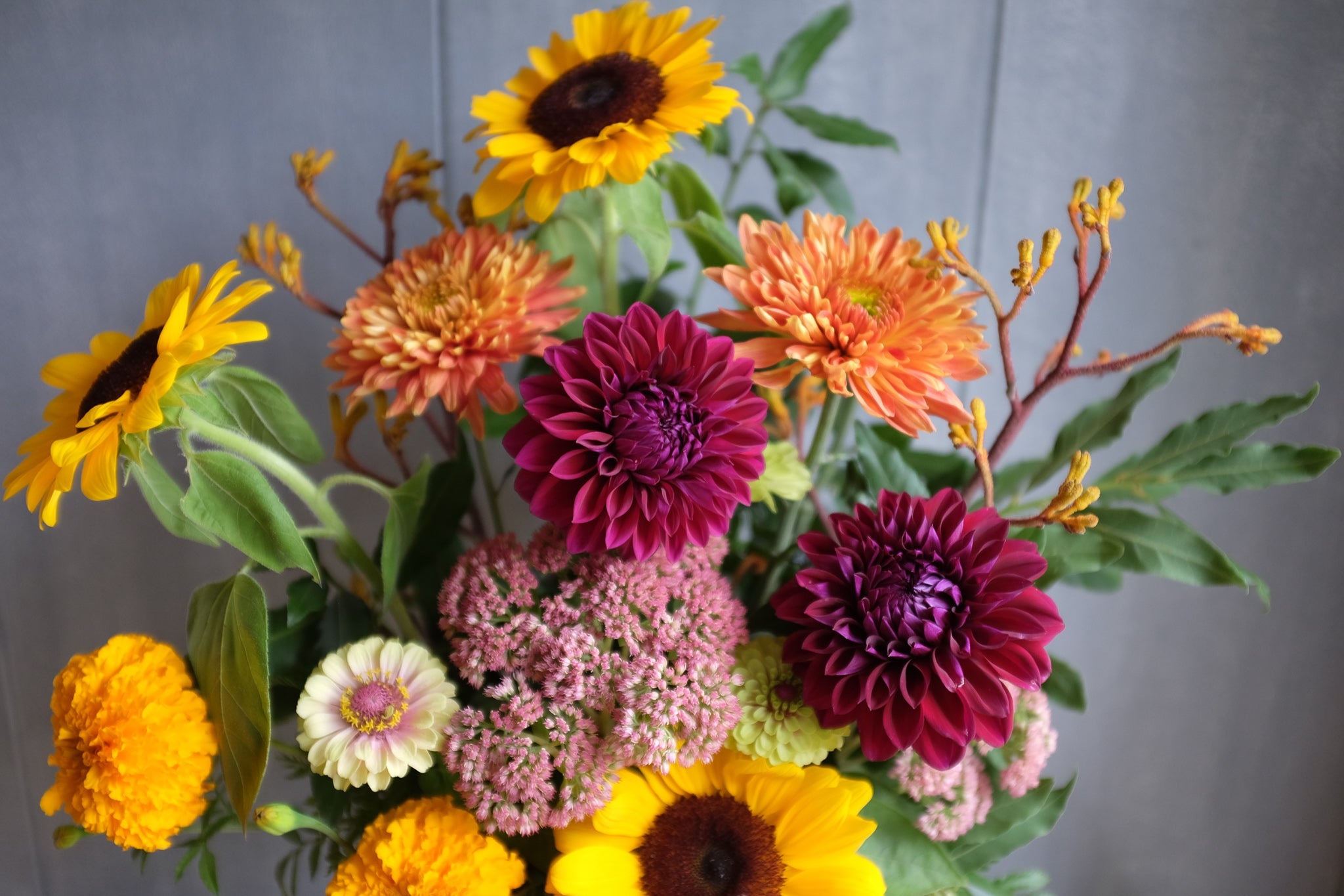Purple dahlia flowers, Yellow sunflower blooms, Orange chrysanthemum flowers, HD Desktop wallpaper