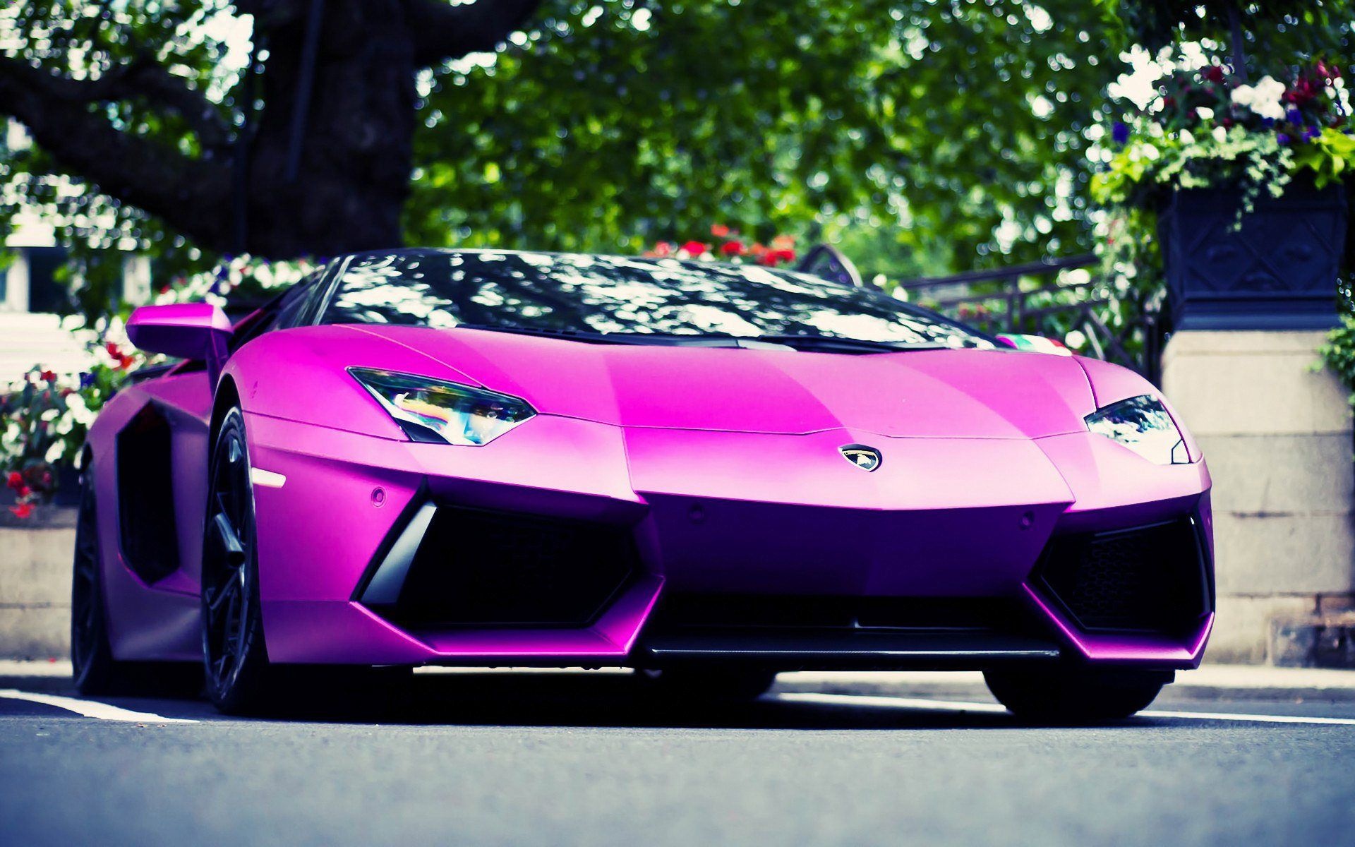 Lamborghini Aventador, matte pink finish, sunlit urban street, HD Desktop wallpaper
