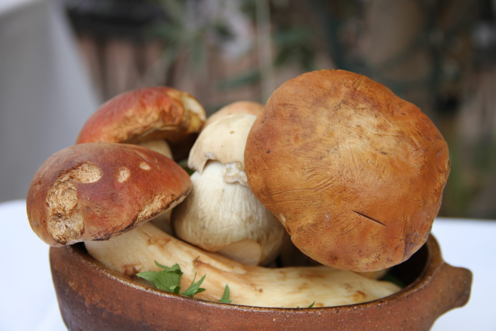 Useful advice, Italian traditions, Mushroom foraging, Culinary secrets, 2050x1370 HD Desktop