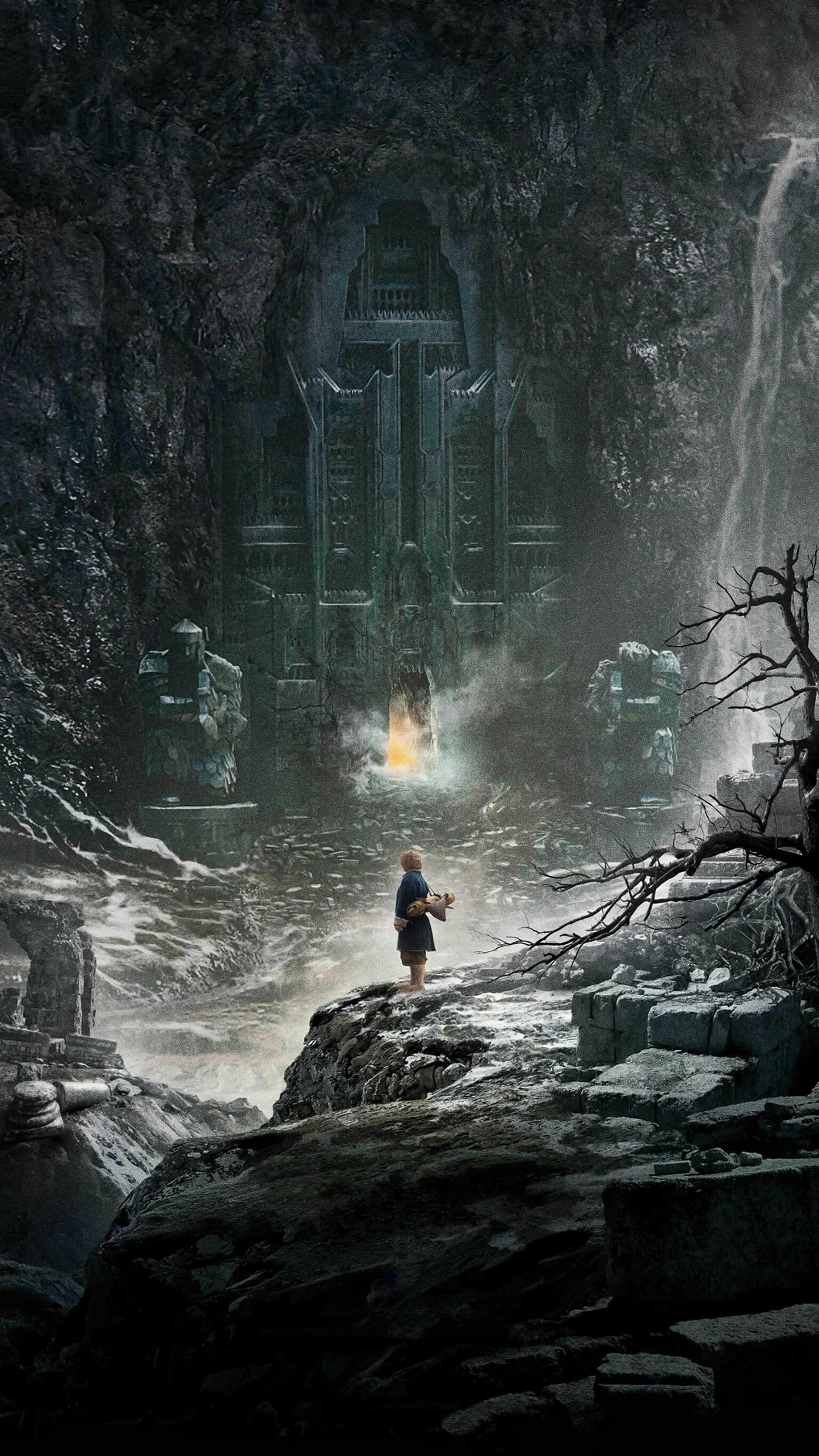 The Hobbit movies, Desolation of Smaug wallpaper, Mobile wallpaper, High quality, 1540x2740 HD Phone