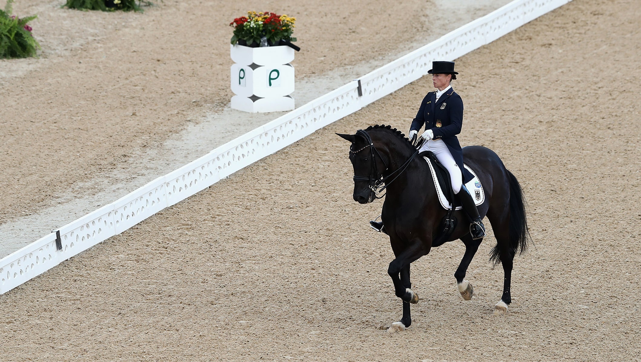 Dressage sports, Dressage legend Isabell Werth, Olympic news, Equestrian accomplishments, 2120x1200 HD Desktop