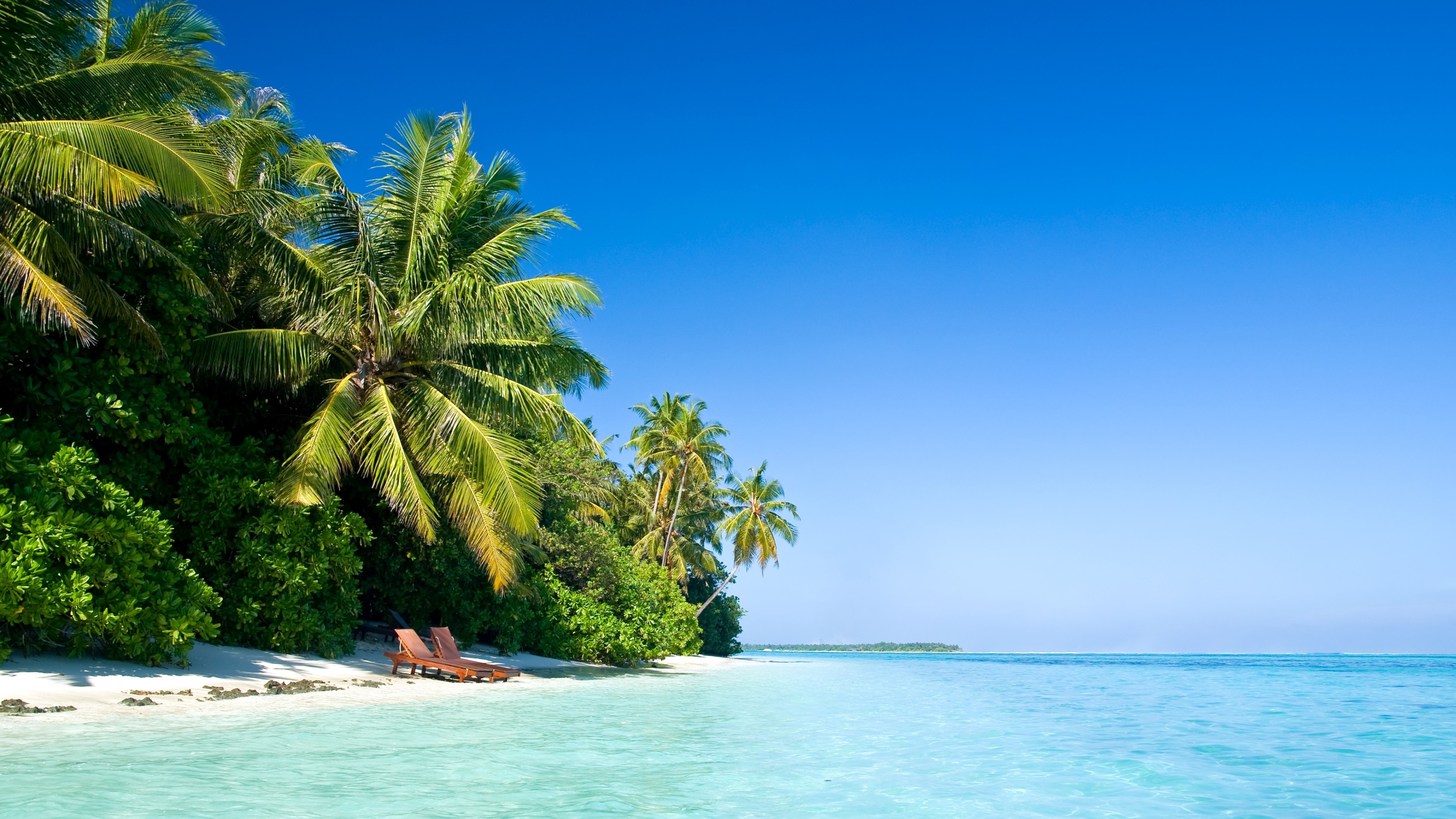 Coconut palm trees, Wooden beach loungers, Turquoise tropical ocean, 4K Desktop wallpaper