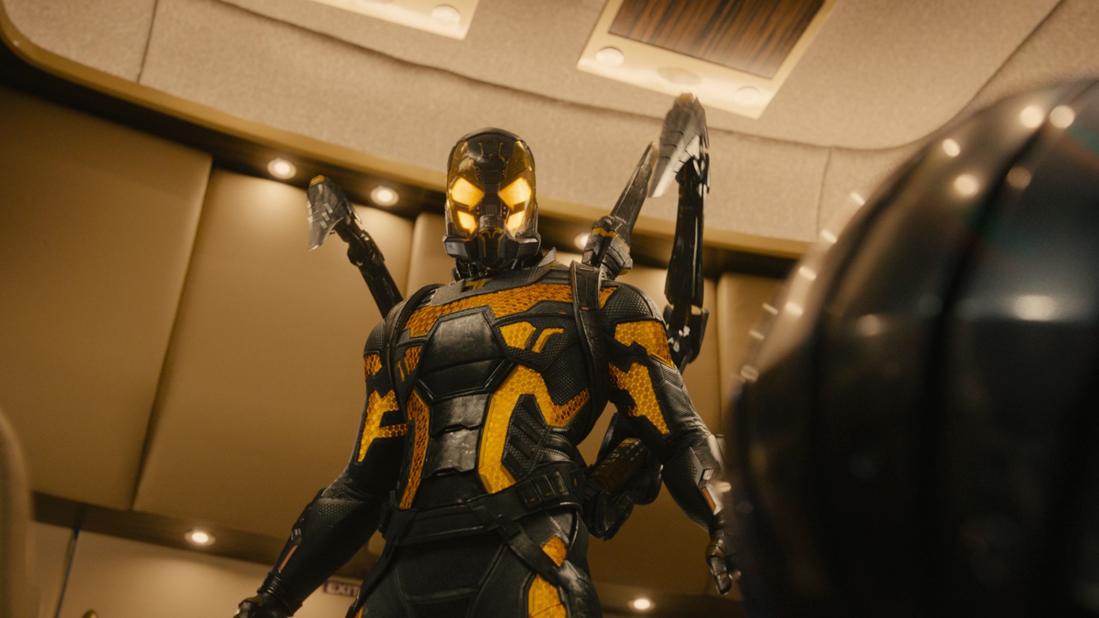 Paul Rudd, Ant-Man, Movies, Images, 2160x1220 HD Desktop