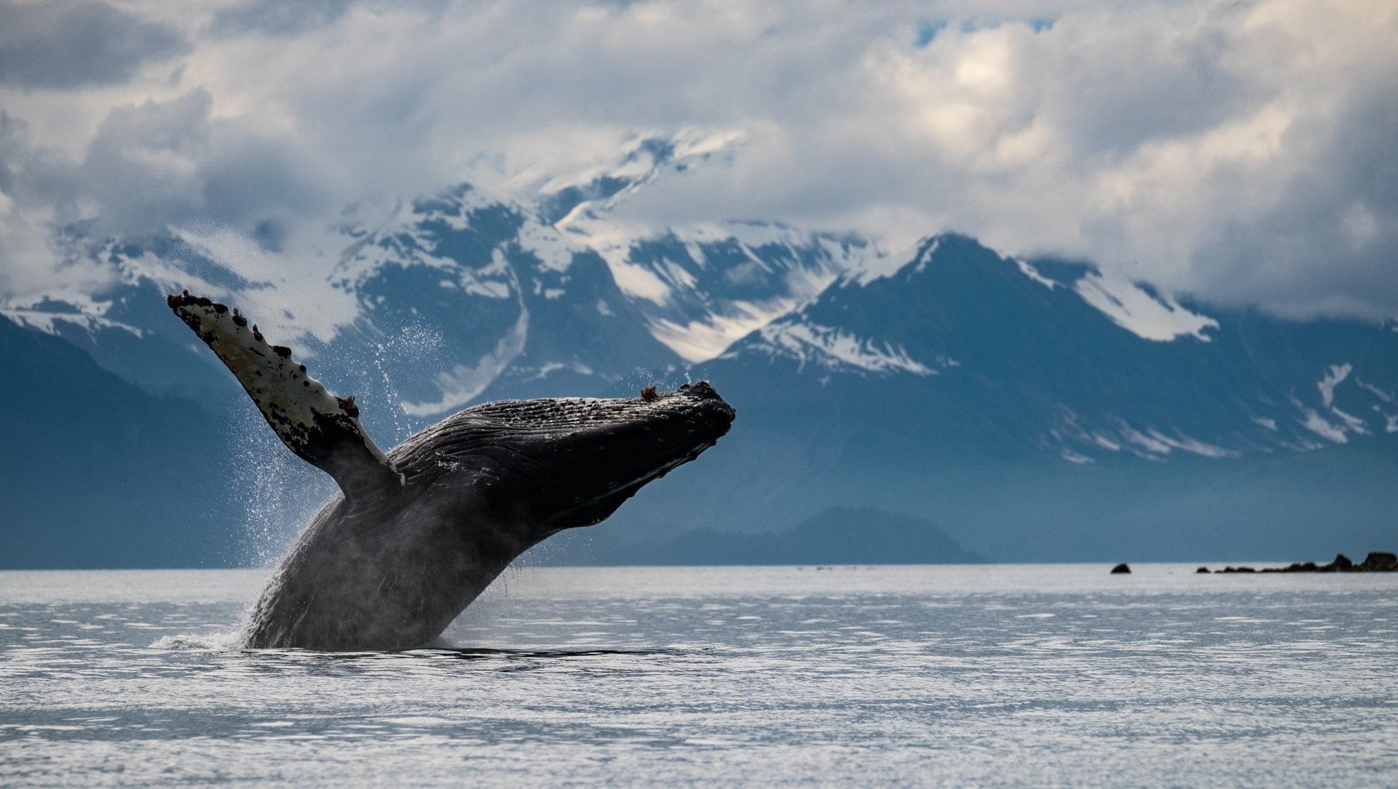 Glacier Bay National Park, Water exploration, 2000x1130 HD Desktop