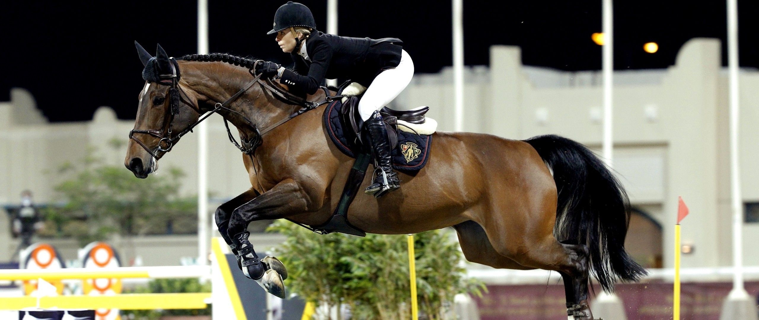 High jumps, Equestrian elegance, Powerful horses, Graceful athletes, 2560x1080 Dual Screen Desktop