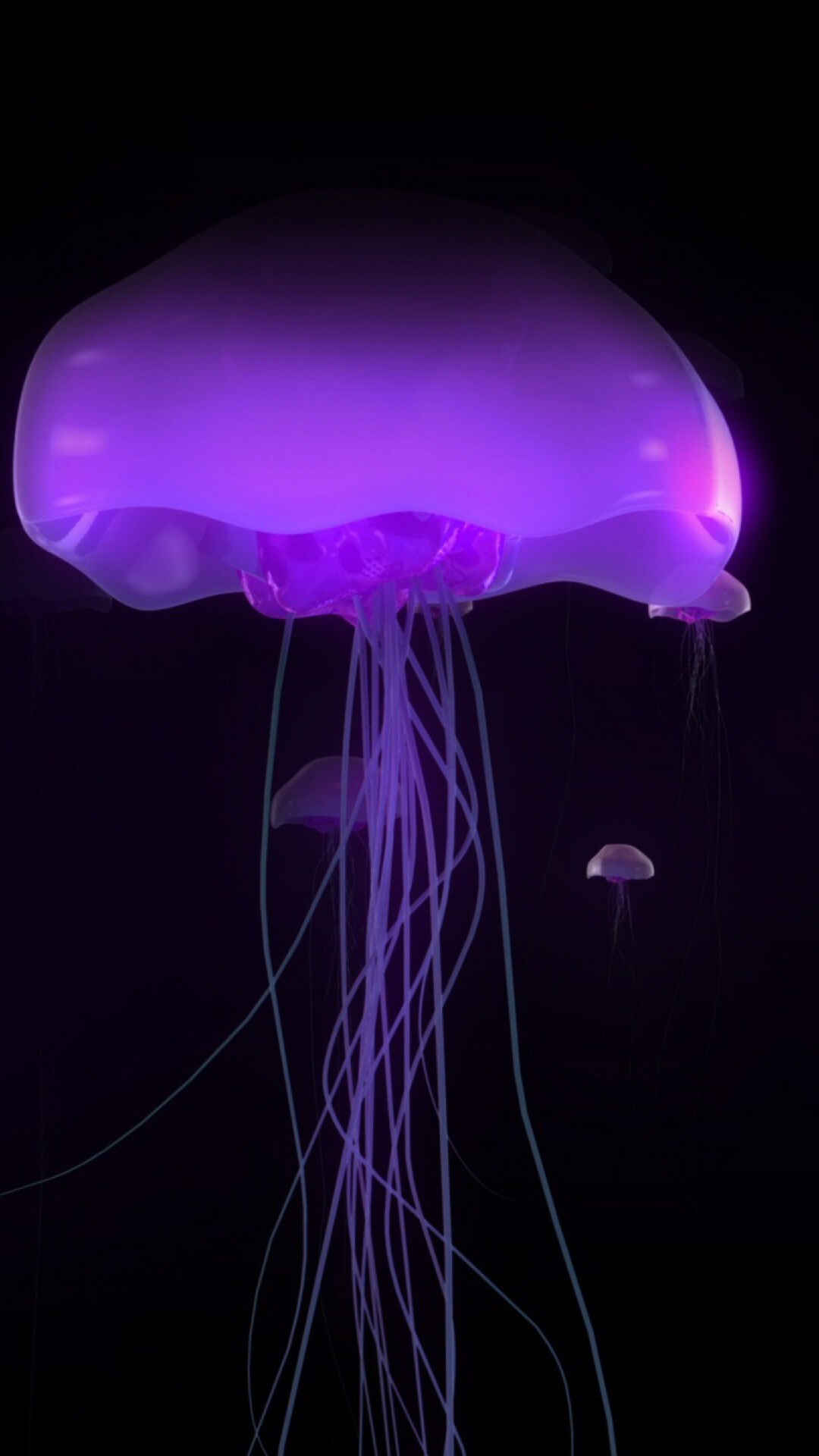 Purple glowing jellyfish, HD wallpaper, Mesmerizing beauty, Captivating charm, 1080x1920 Full HD Phone