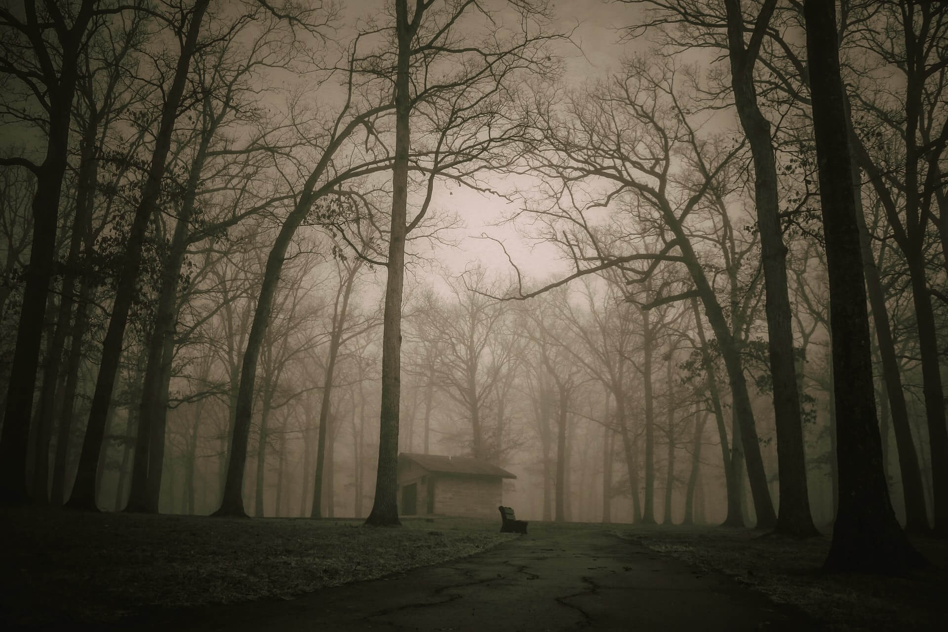 small secluded cabin, empty park bench, foggy bare trees, HD Desktop wallpaper
