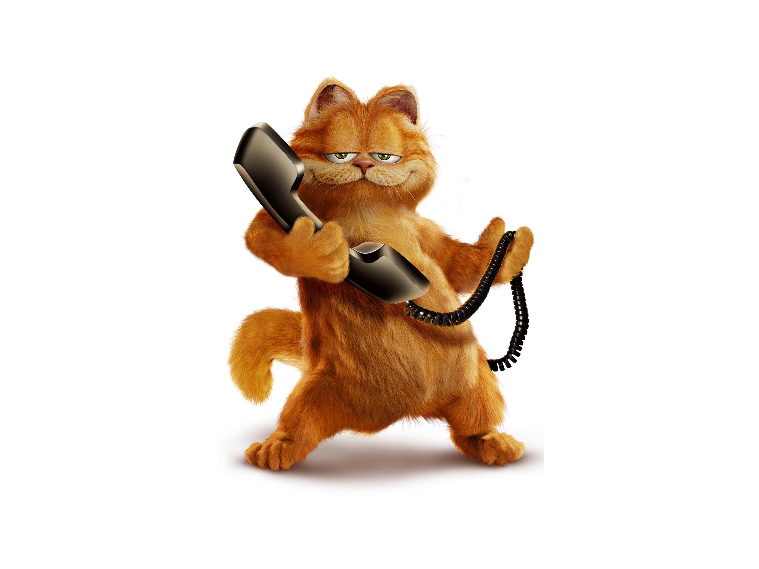 Garfield, Free wallpaper, Cartoon cat, Px, 2560x1920 HD Desktop