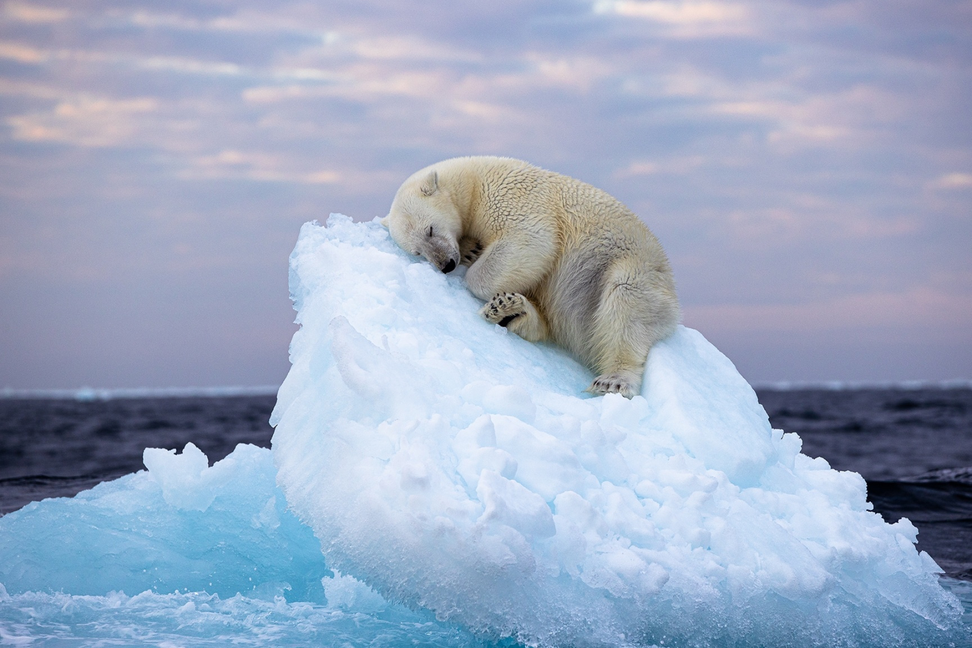 Svalbard expedition, Polar bear kingdom, Oryx photo tours, Arctic journey, 1920x1280 HD Desktop