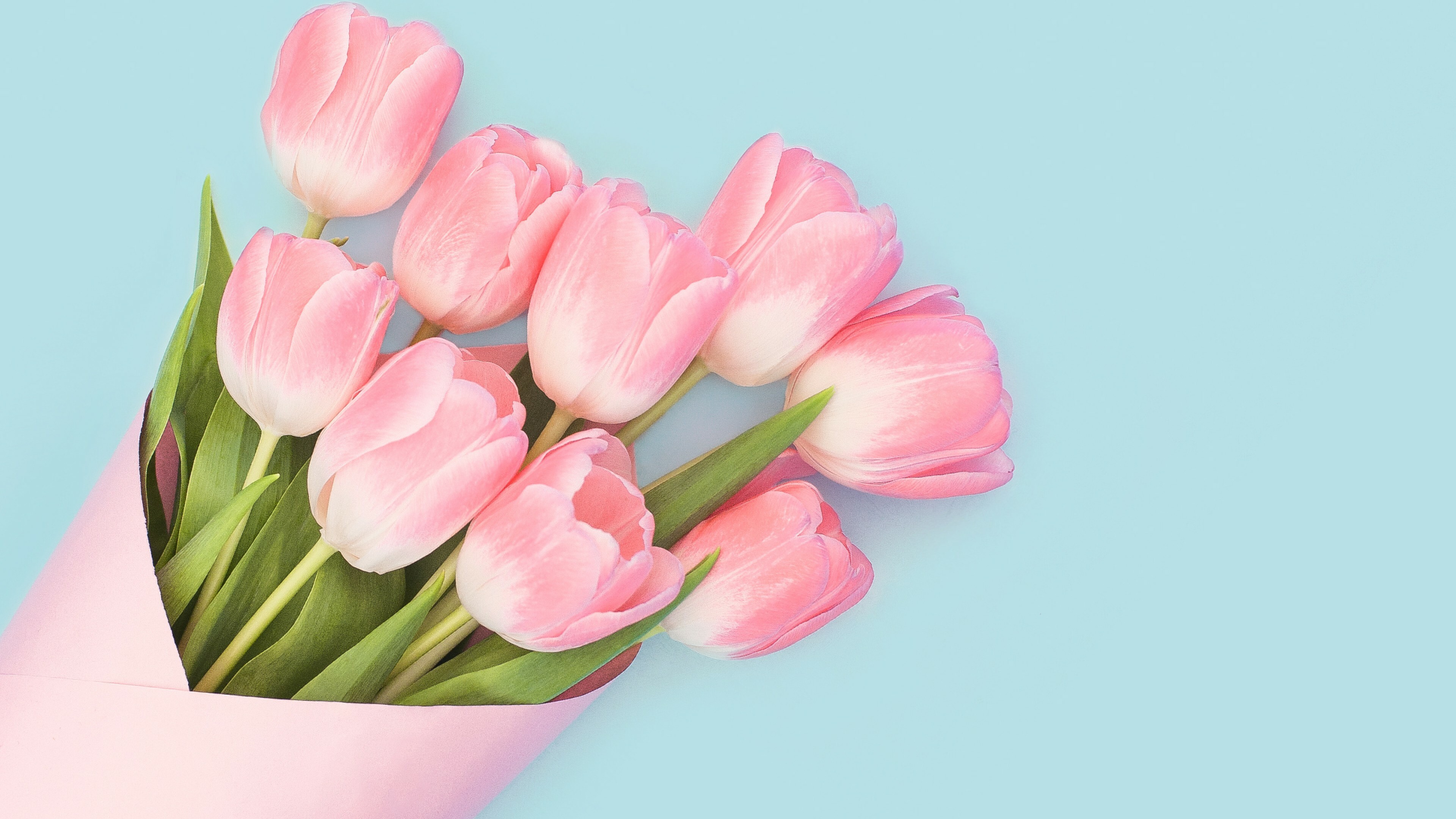 Bouquet, Tulips Wallpaper, 3840x2160 4K Desktop