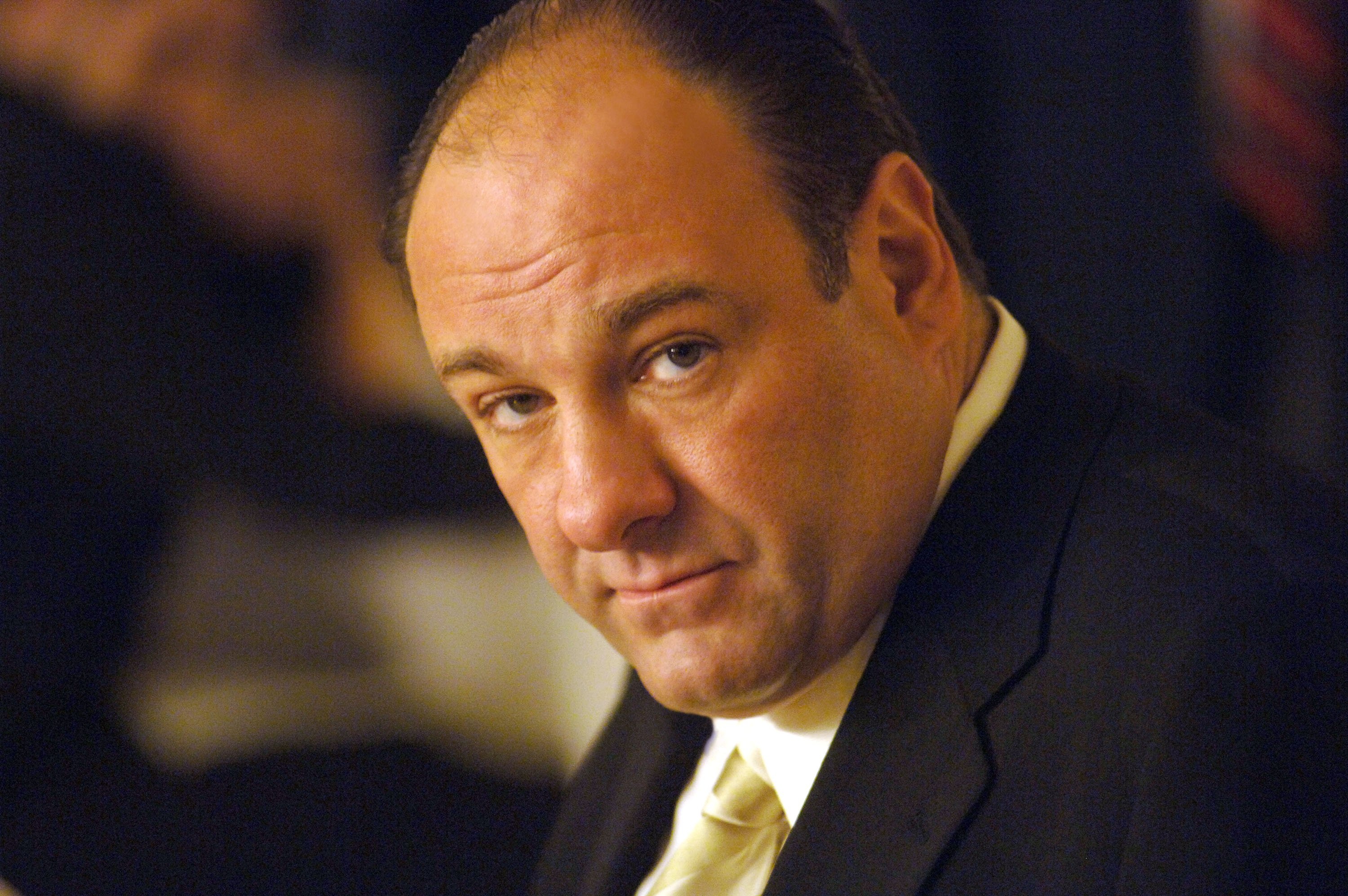 James Gandolfini, Movies, Actor, Background Image, 3000x2000 HD Desktop