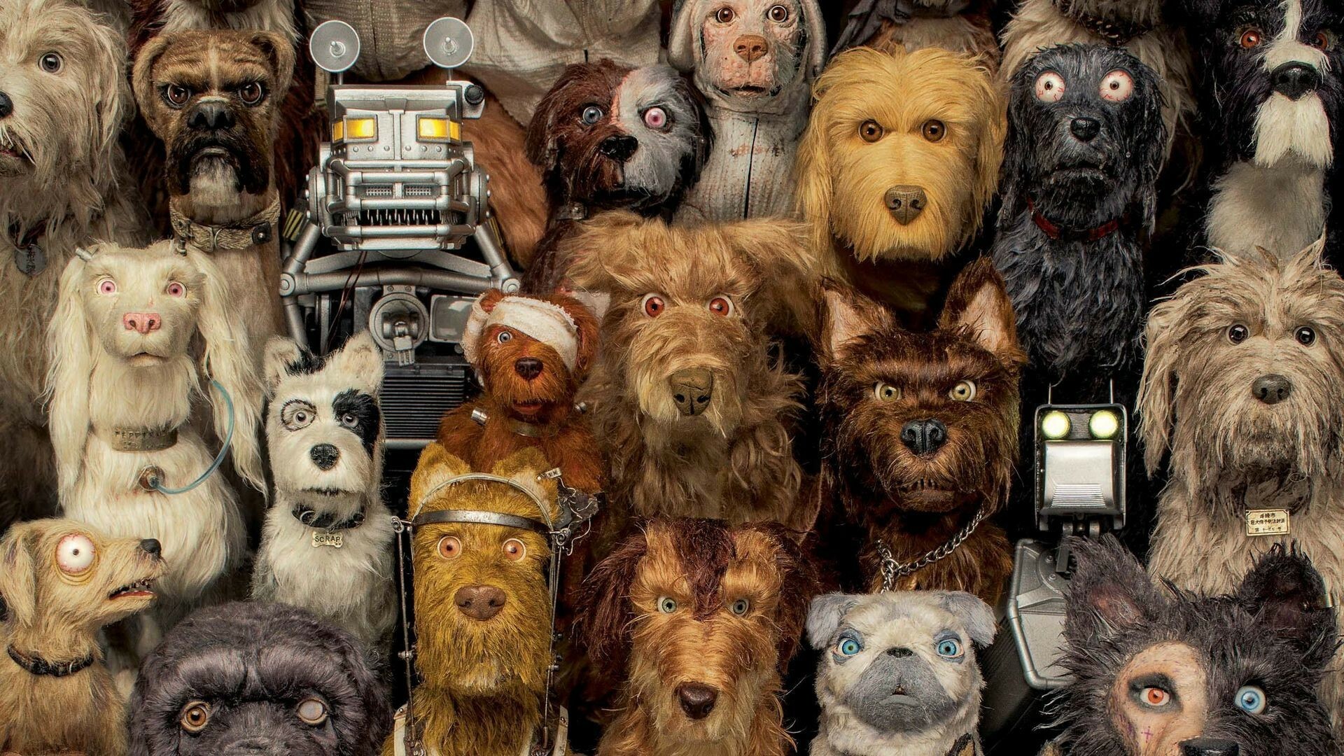 Isle of Dogs animation, Coolconnections, 1920x1080 Full HD Desktop