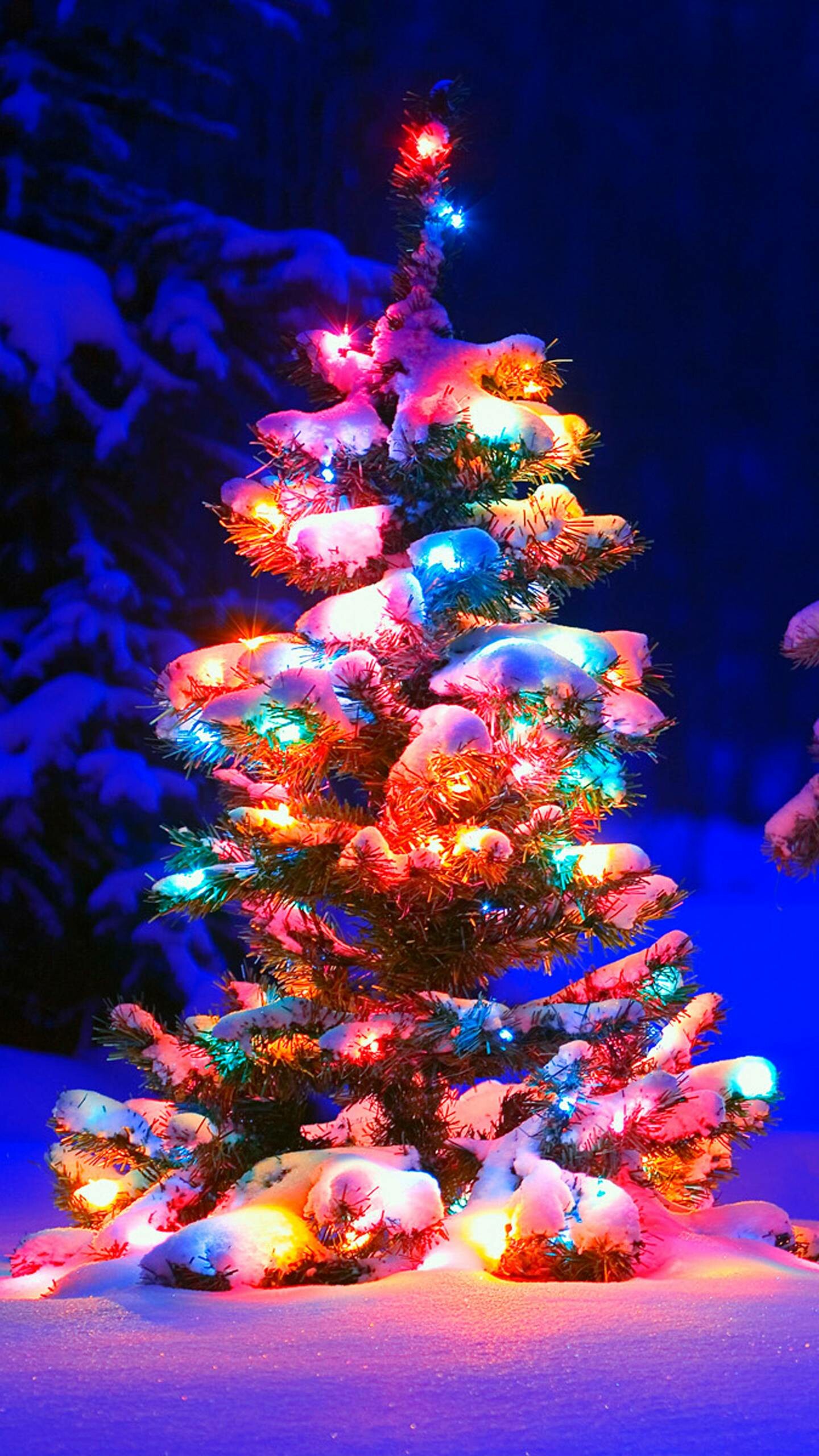 Christmas Lights, Christmas Wallpaper, 1440x2560 HD Phone
