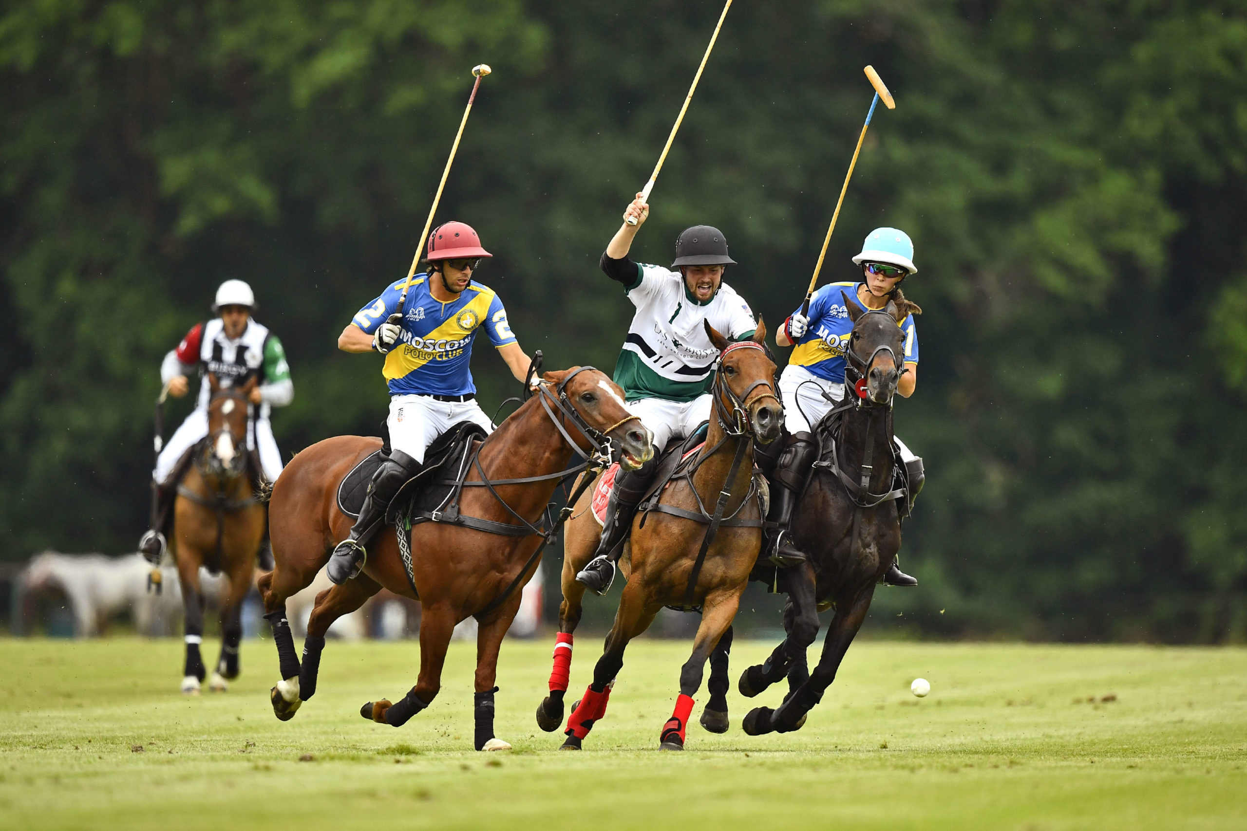 Polo Rider Cup, Horse Polo Wallpaper, 2560x1710 HD Desktop