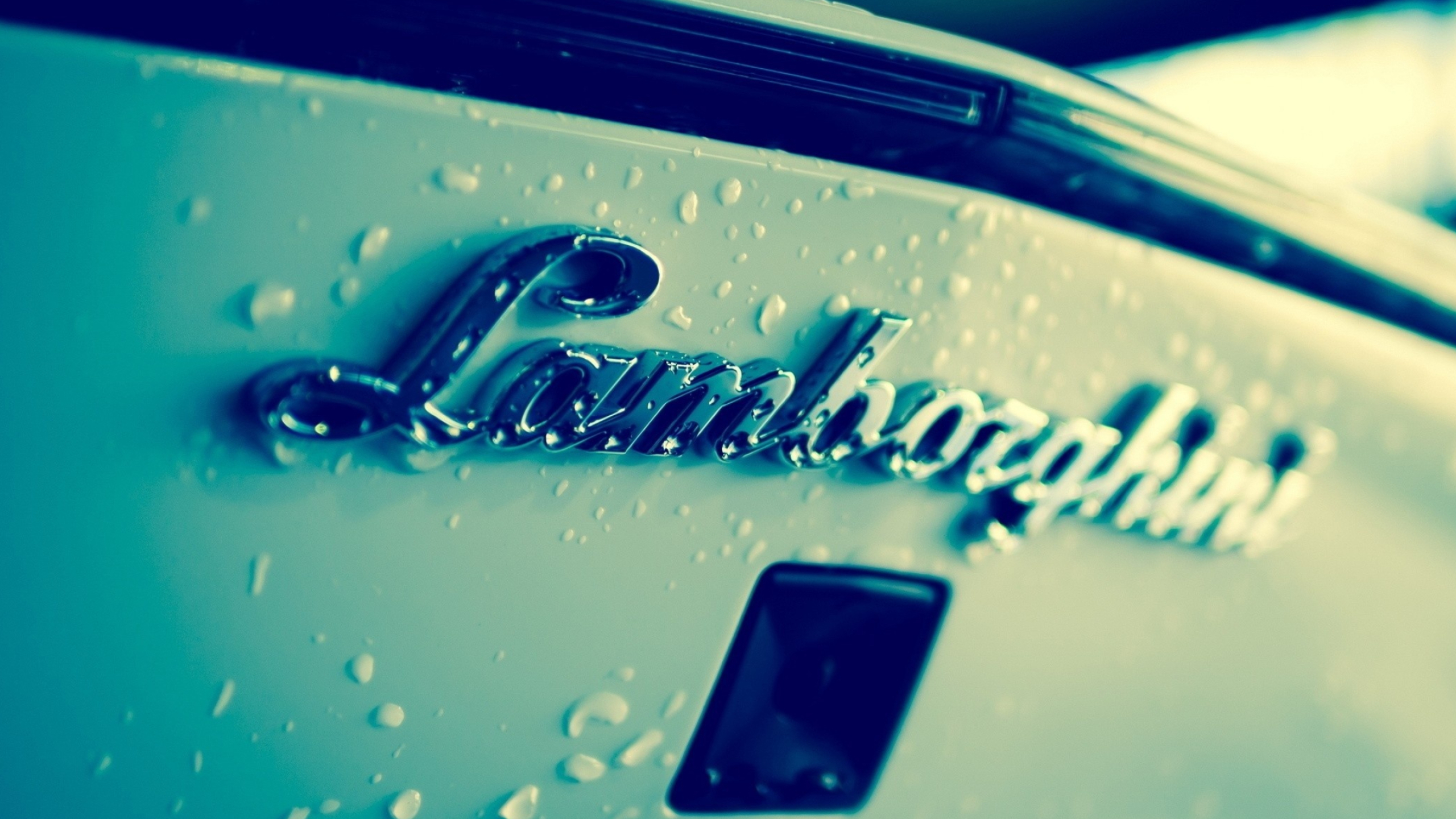 Trunk Lid, Lamborghini Logo Wallpaper, 2560x1440 HD Desktop