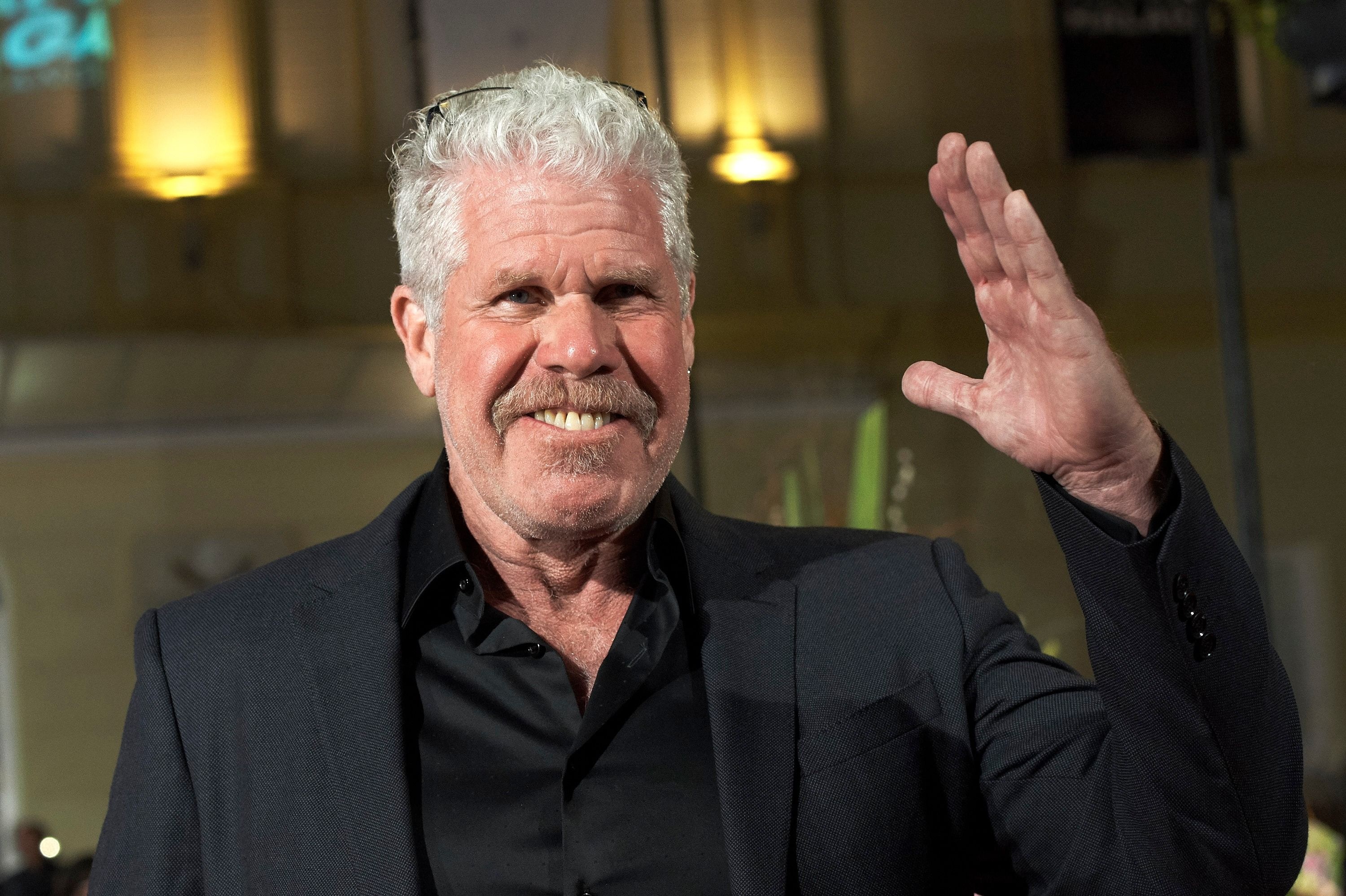 Ron Perlman, Movies, Handshake, Weinsteins, 3000x2000 HD Desktop