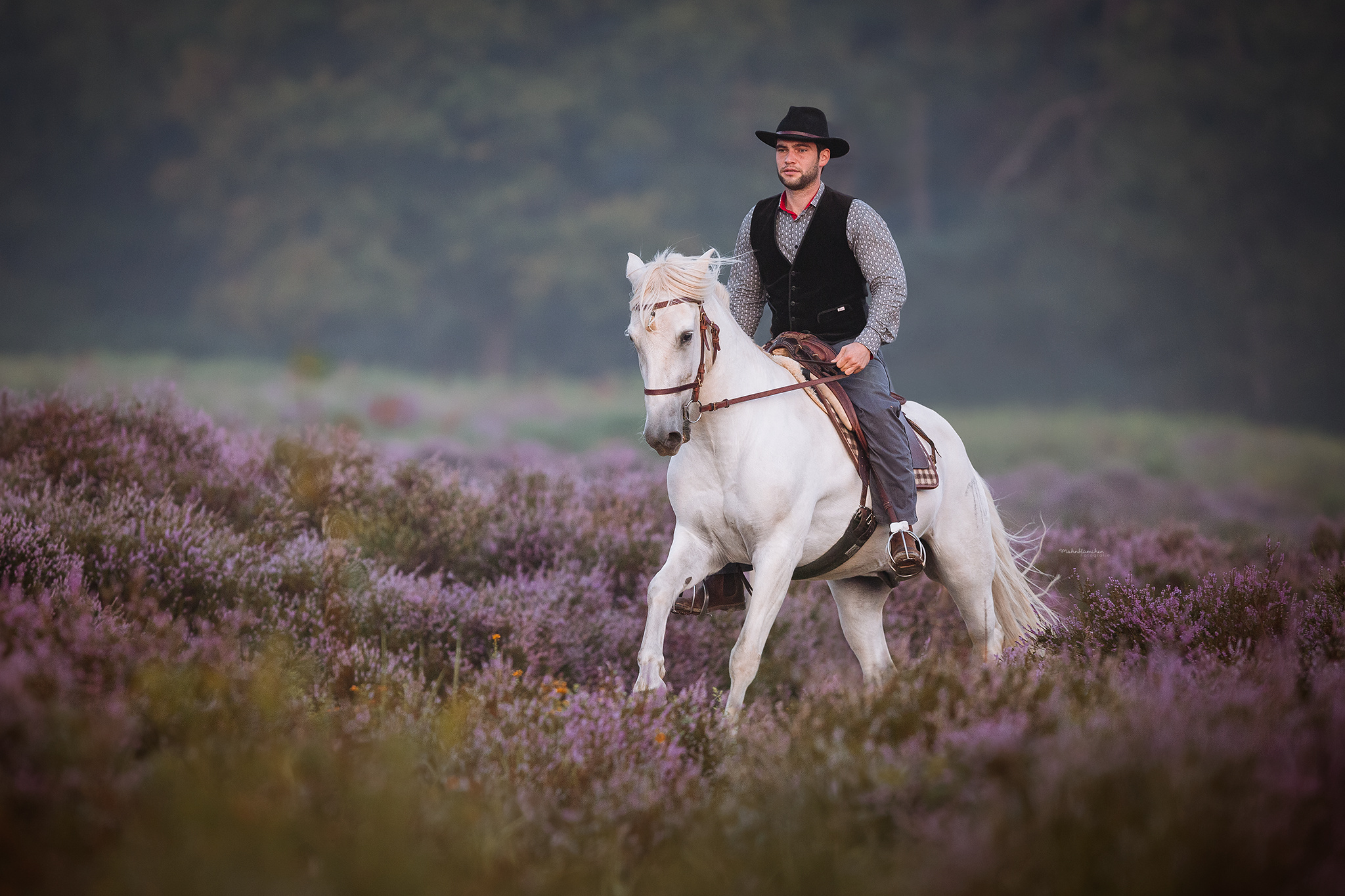 Equitation sports, Camargue pferd, Working equitation, Pferde fotografie, 2050x1370 HD Desktop